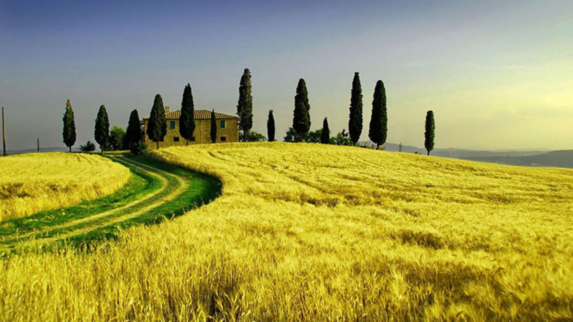 2015-07-tuscany-13