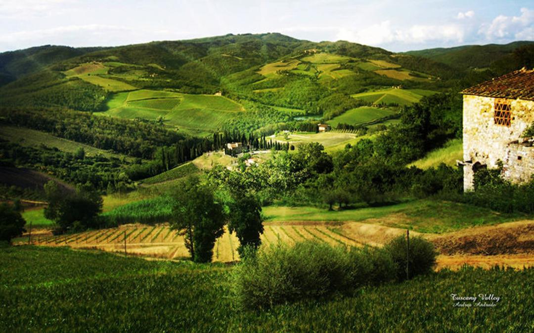 2015-07-tuscany-15