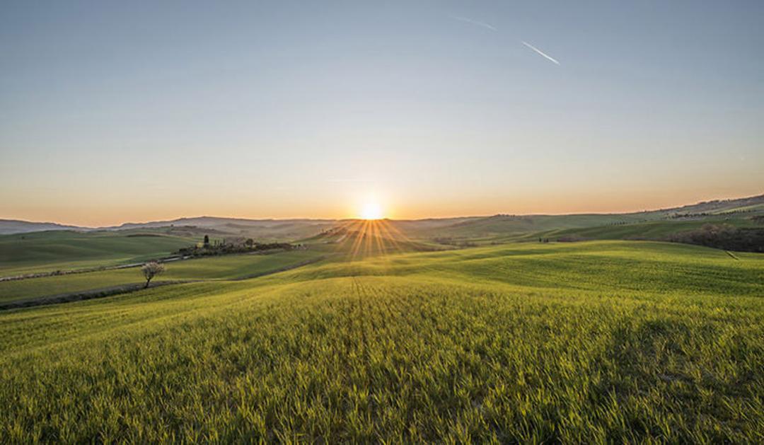 2015-07-tuscany-5