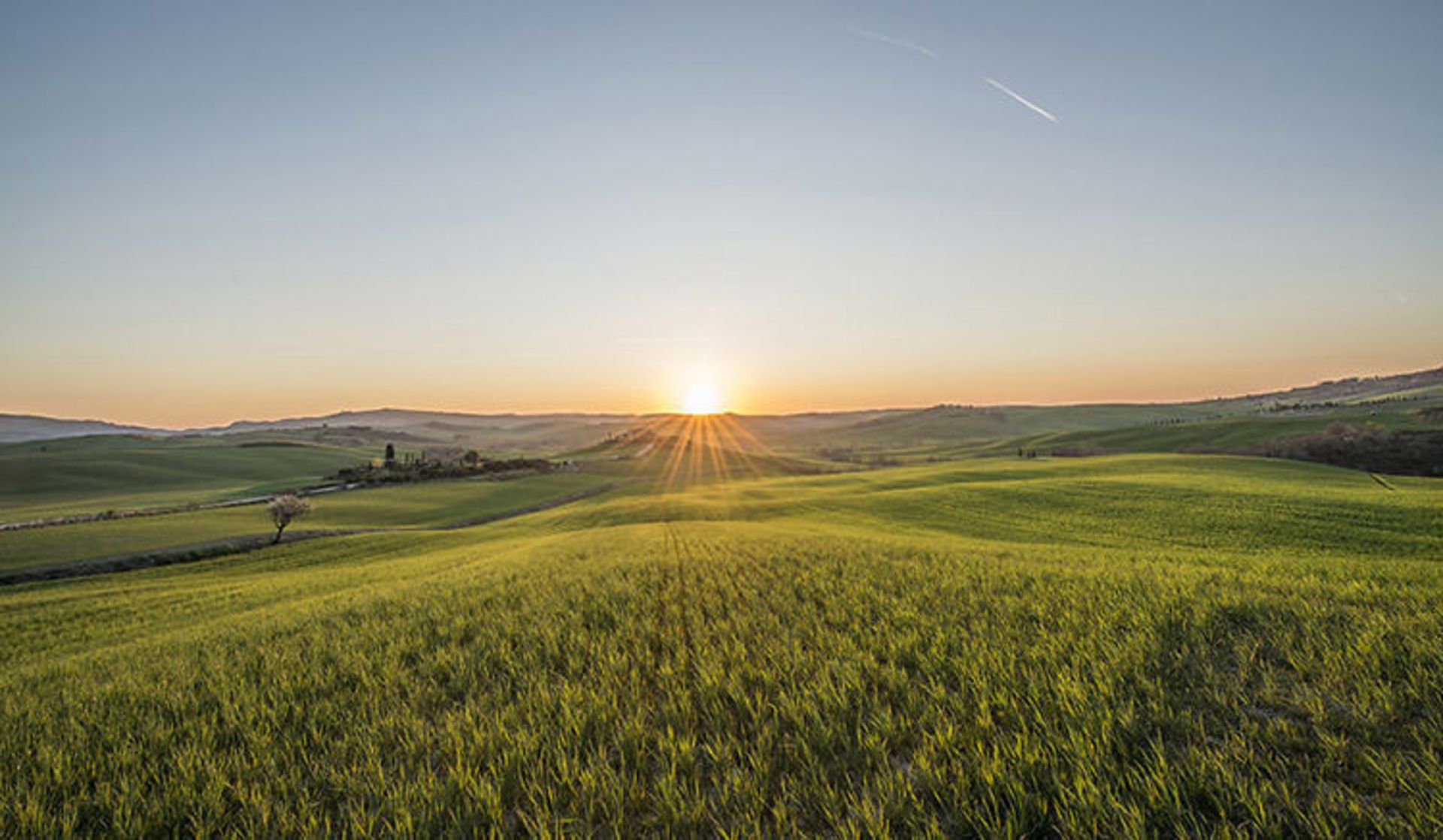 2015-07-tuscany-5