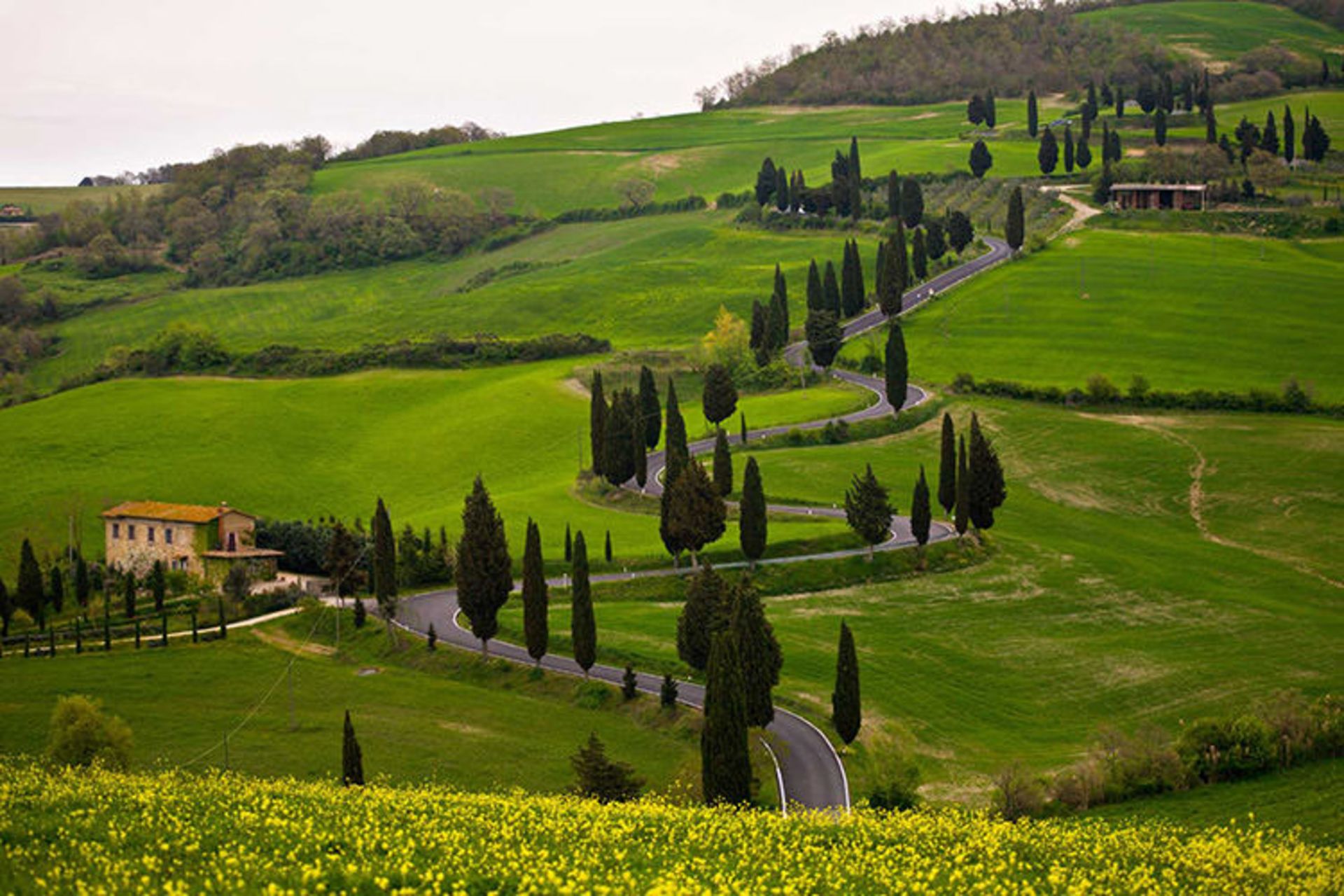 2015-07-tuscany-9