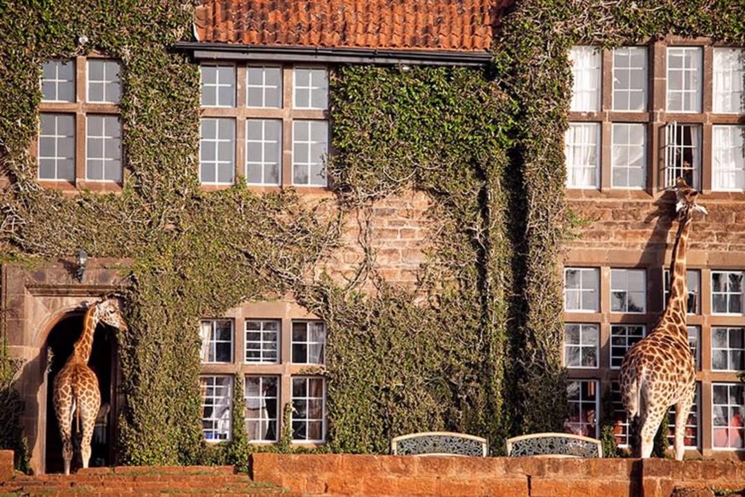 2015-07-unusual-themed-hotels-6-1__8801