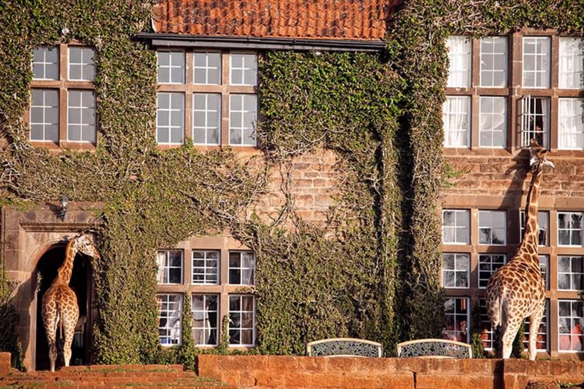 2015-07-unusual-themed-hotels-6-1__8801