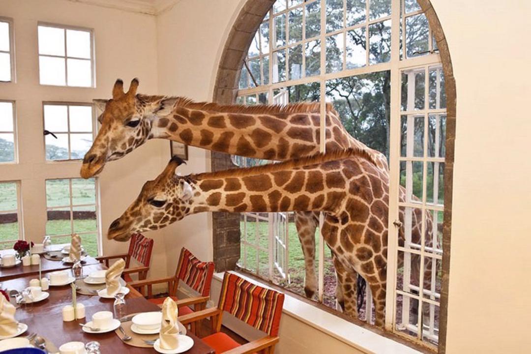 2015-07-unusual-themed-hotels-6-3