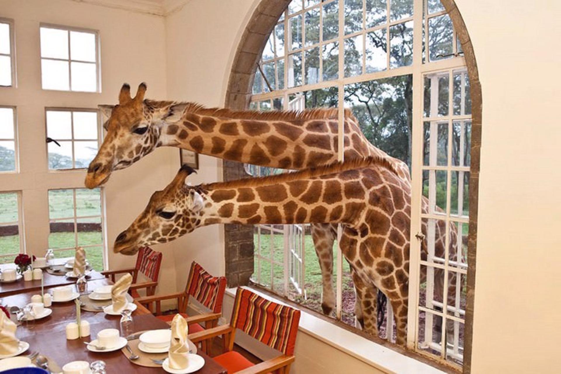2015-07-unusual-themed-hotels-6-3