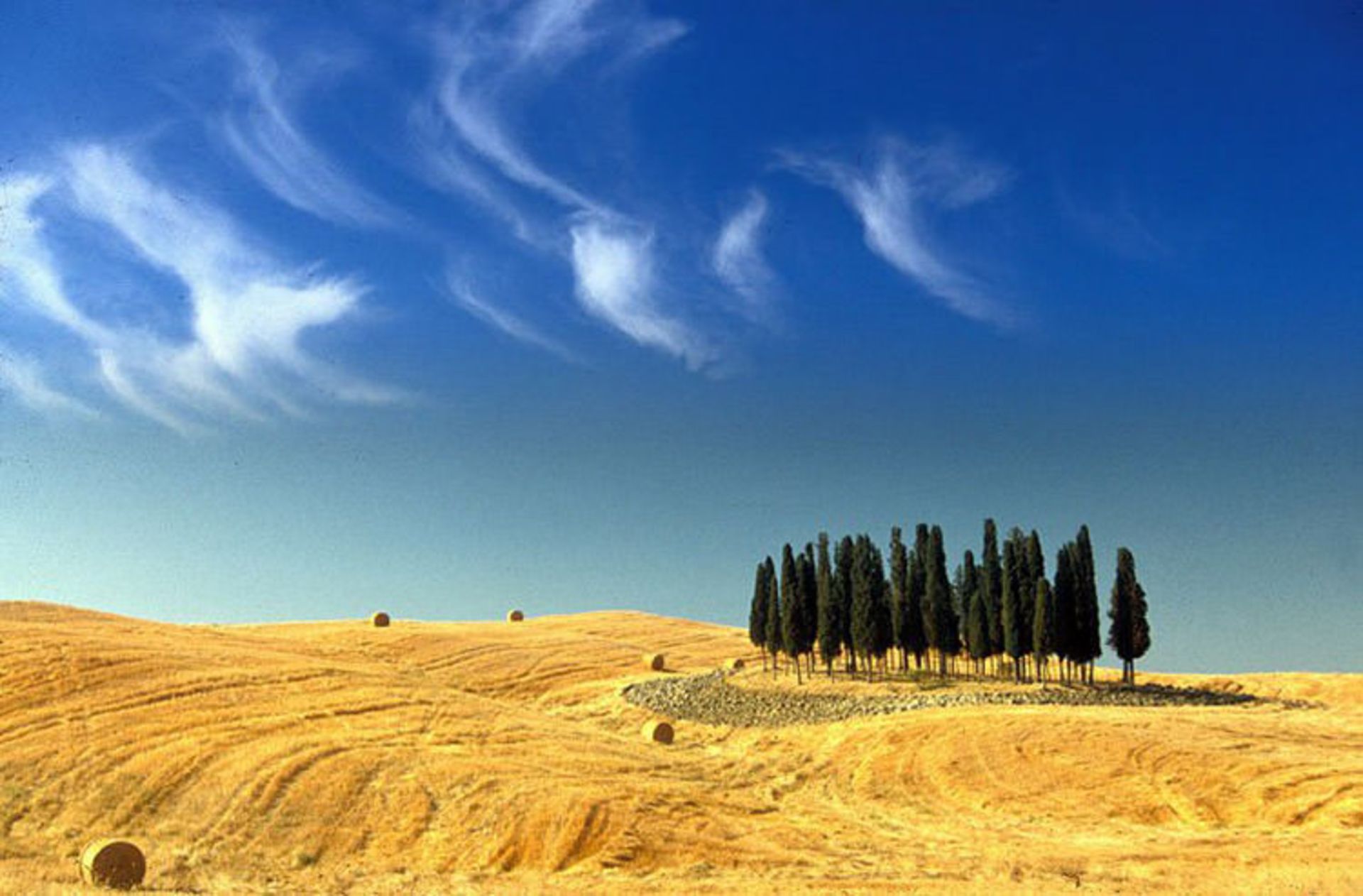 2015-07-val_d_orcia_163423_760