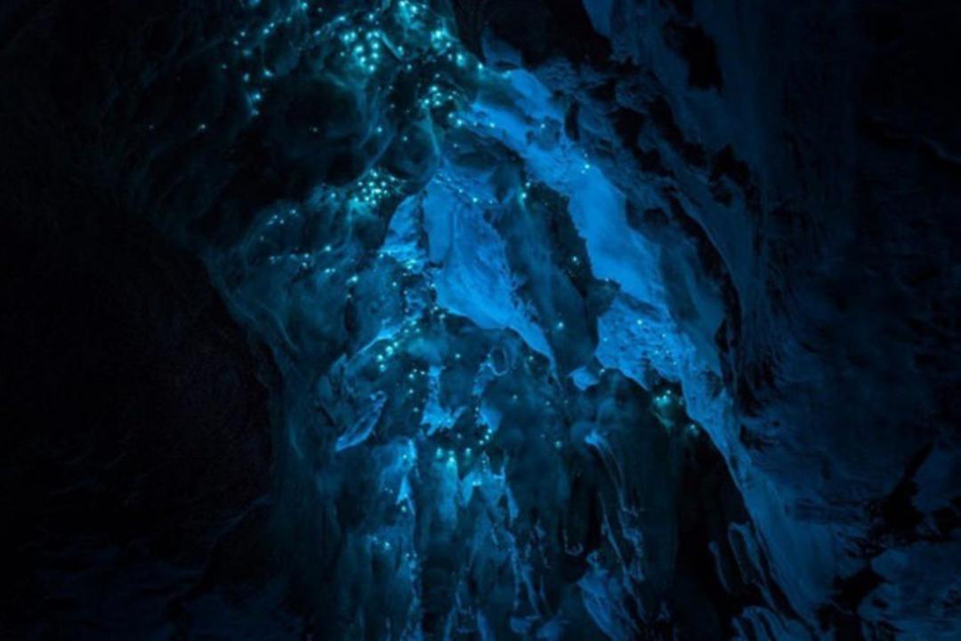 2015-07-waitomo-5