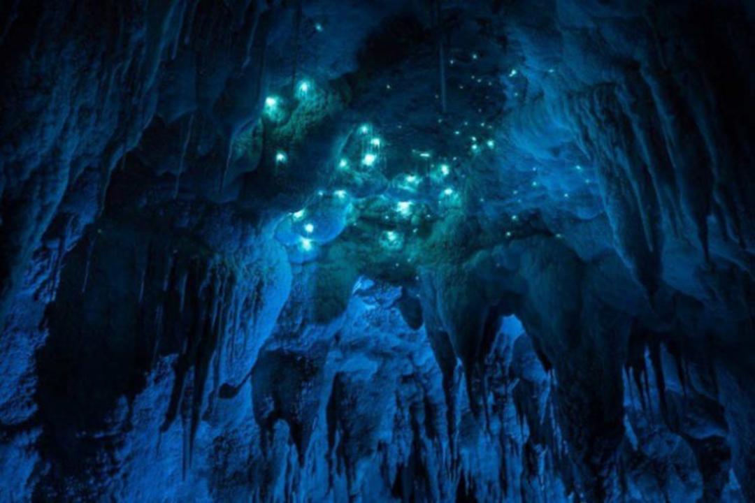 2015-07-waitomo-8