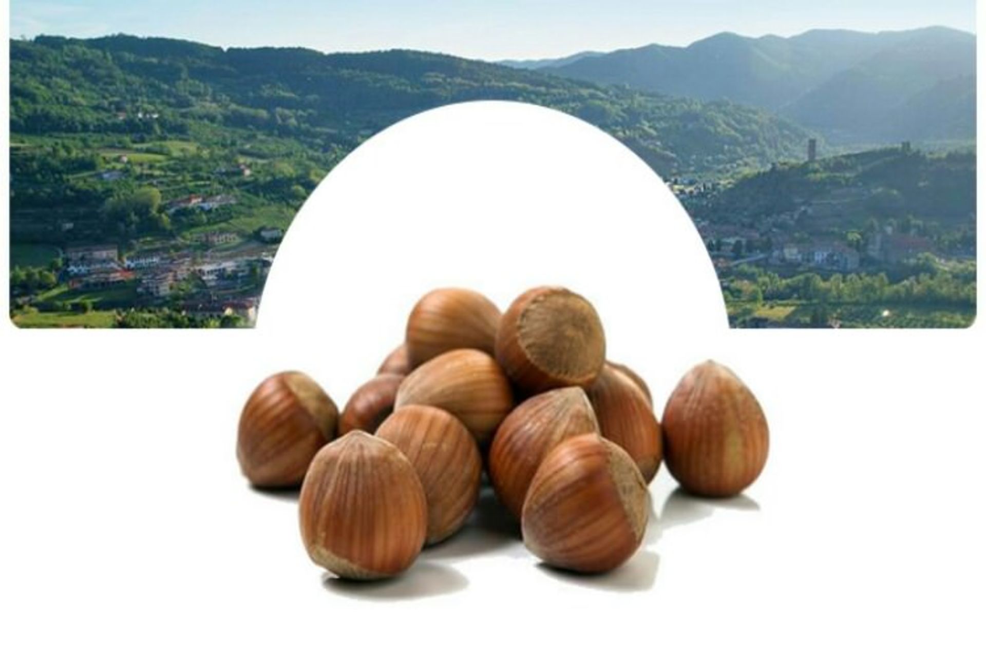 2015-07-wpid-10-must-go-food-festivals-in-italy-this-summer-2015sagra-della-nocciola2_resize_20150730_181344