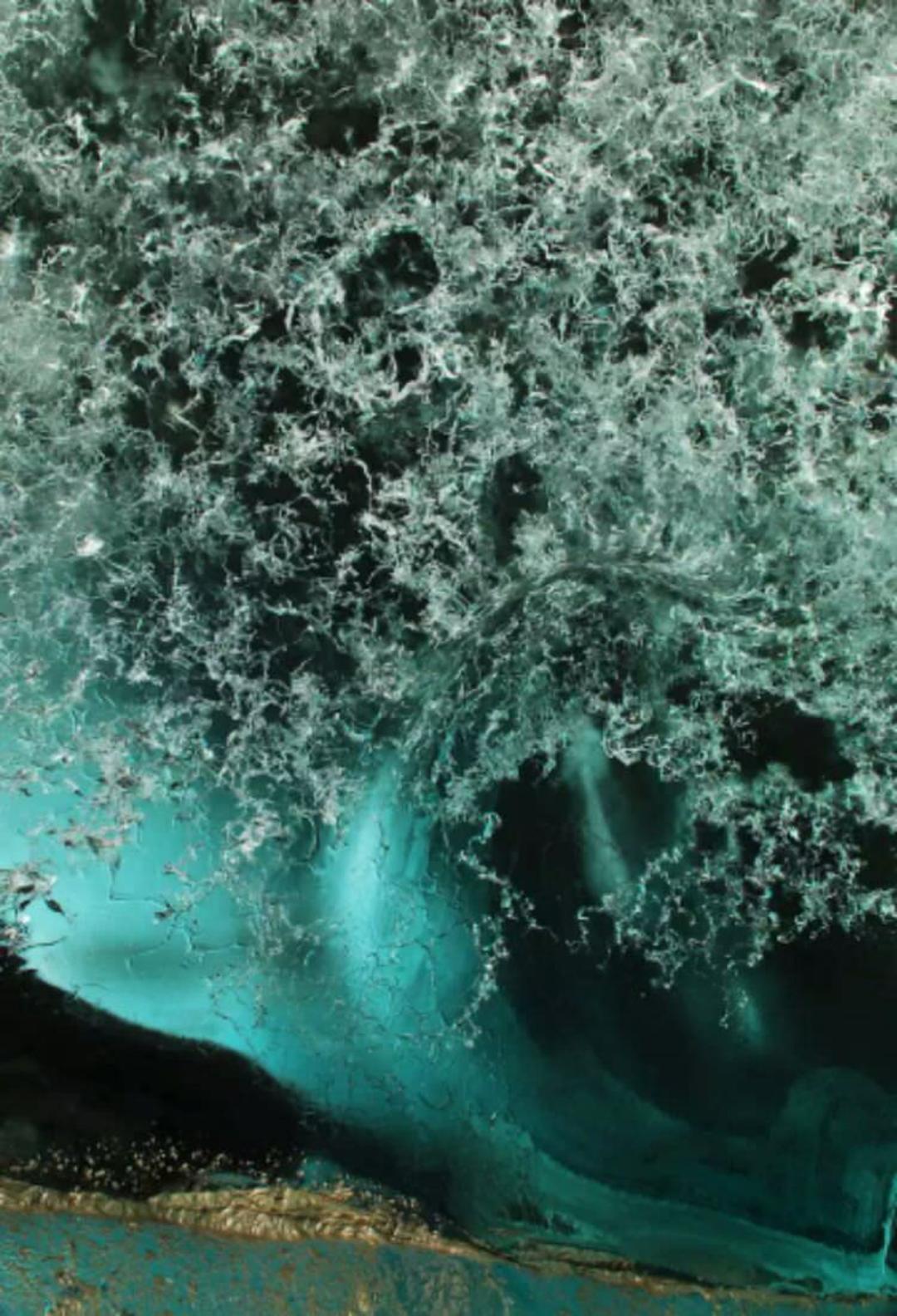 2015-07-wpid-alaska3