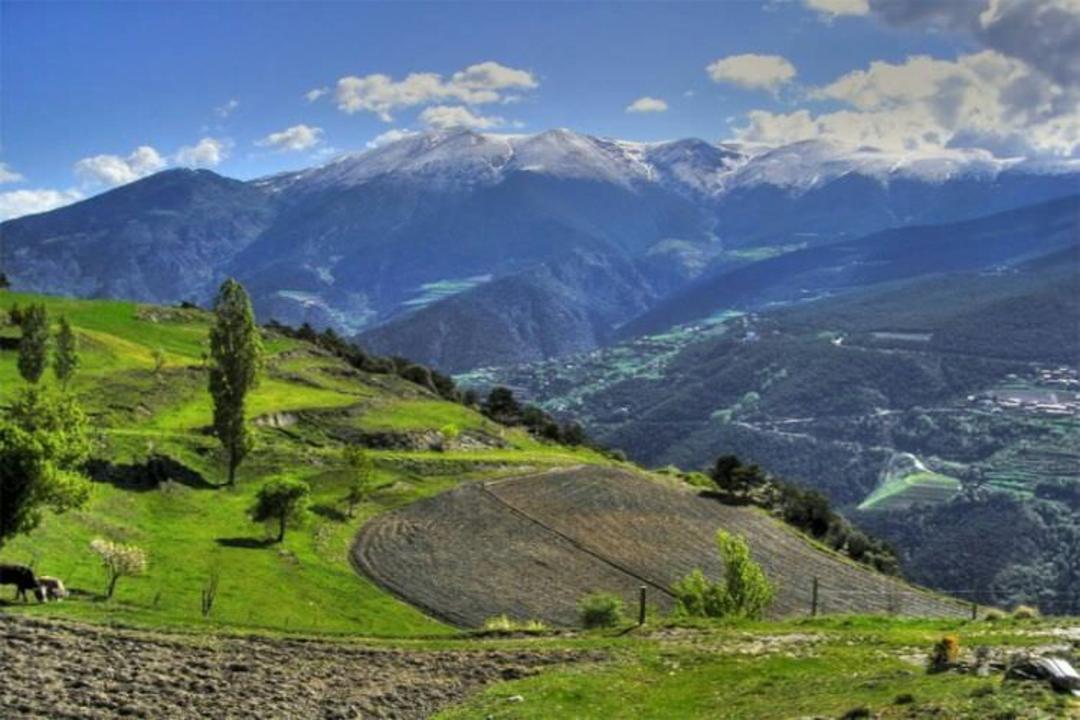 2015-07-wpid-andora3