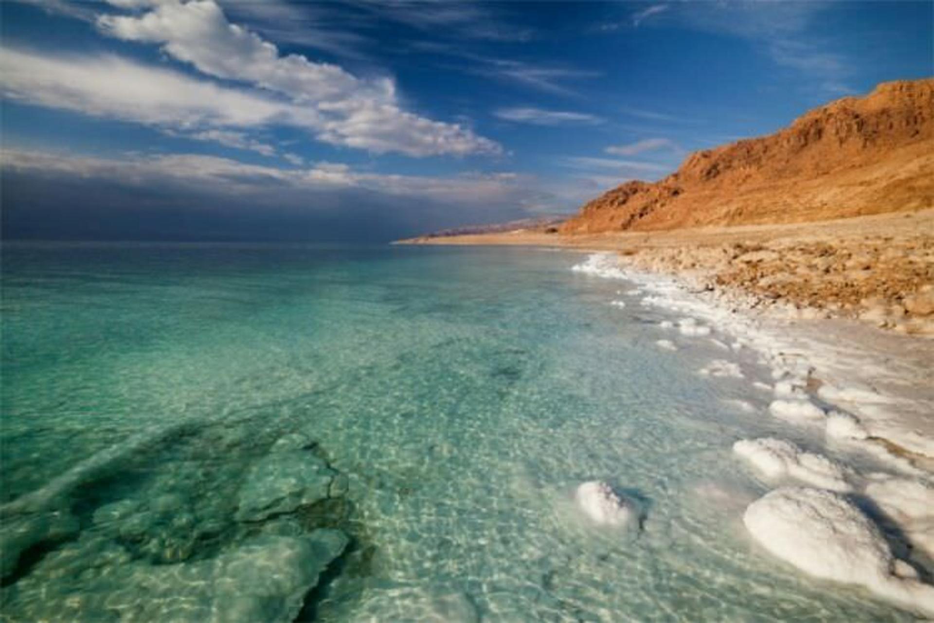 2015-07-wpid-aquatic_dead_sea2