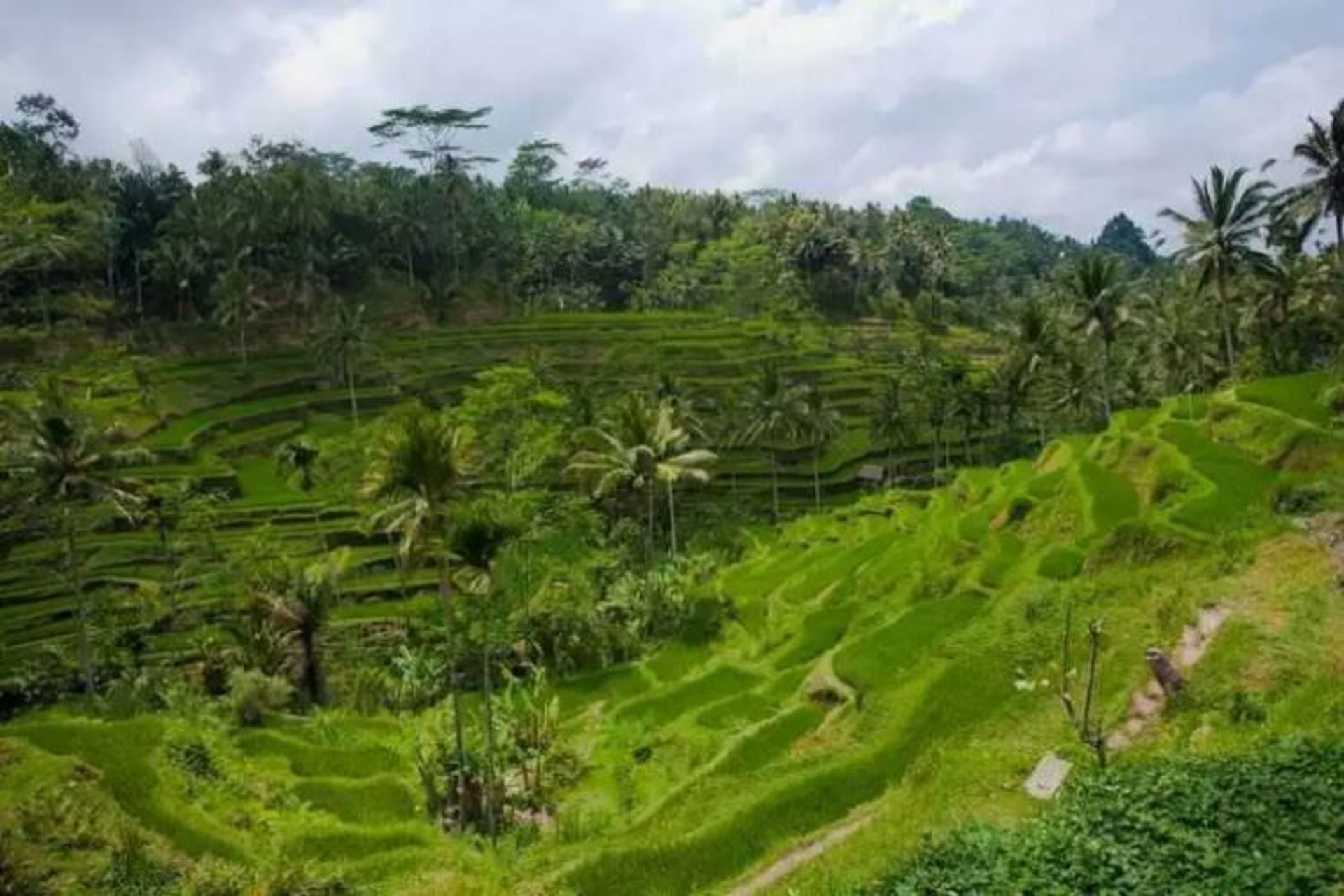 2015-07-wpid-bali1