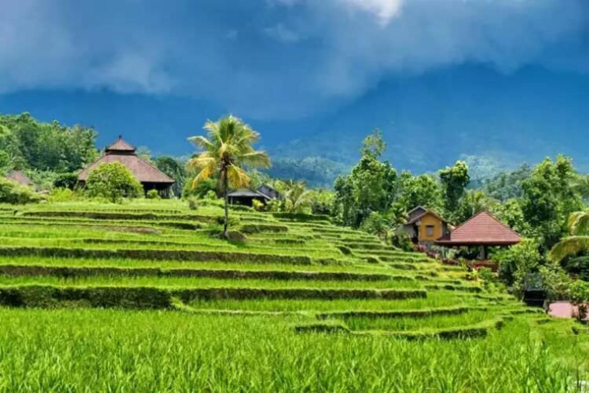 2015-07-wpid-bali2