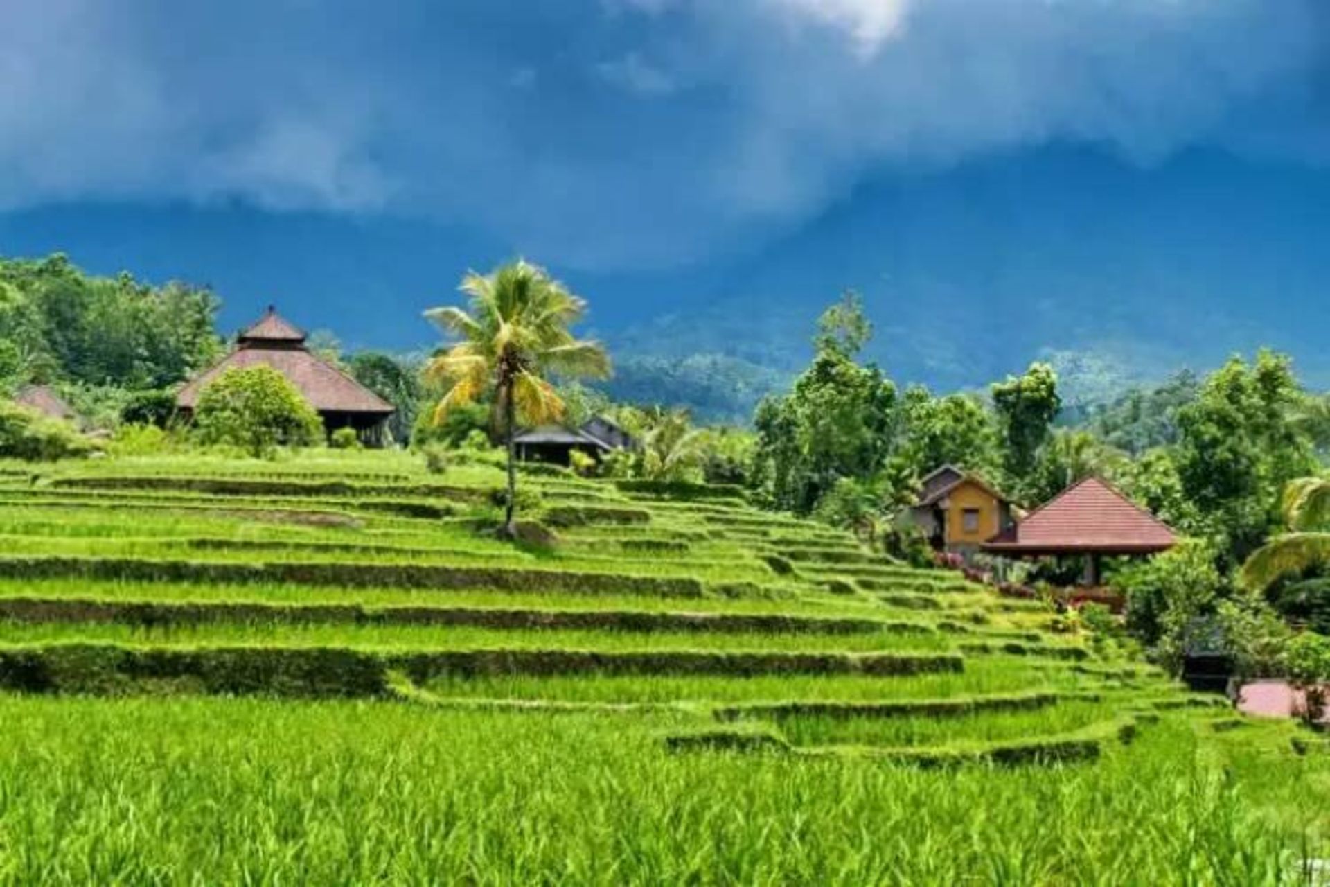 2015-07-wpid-bali2