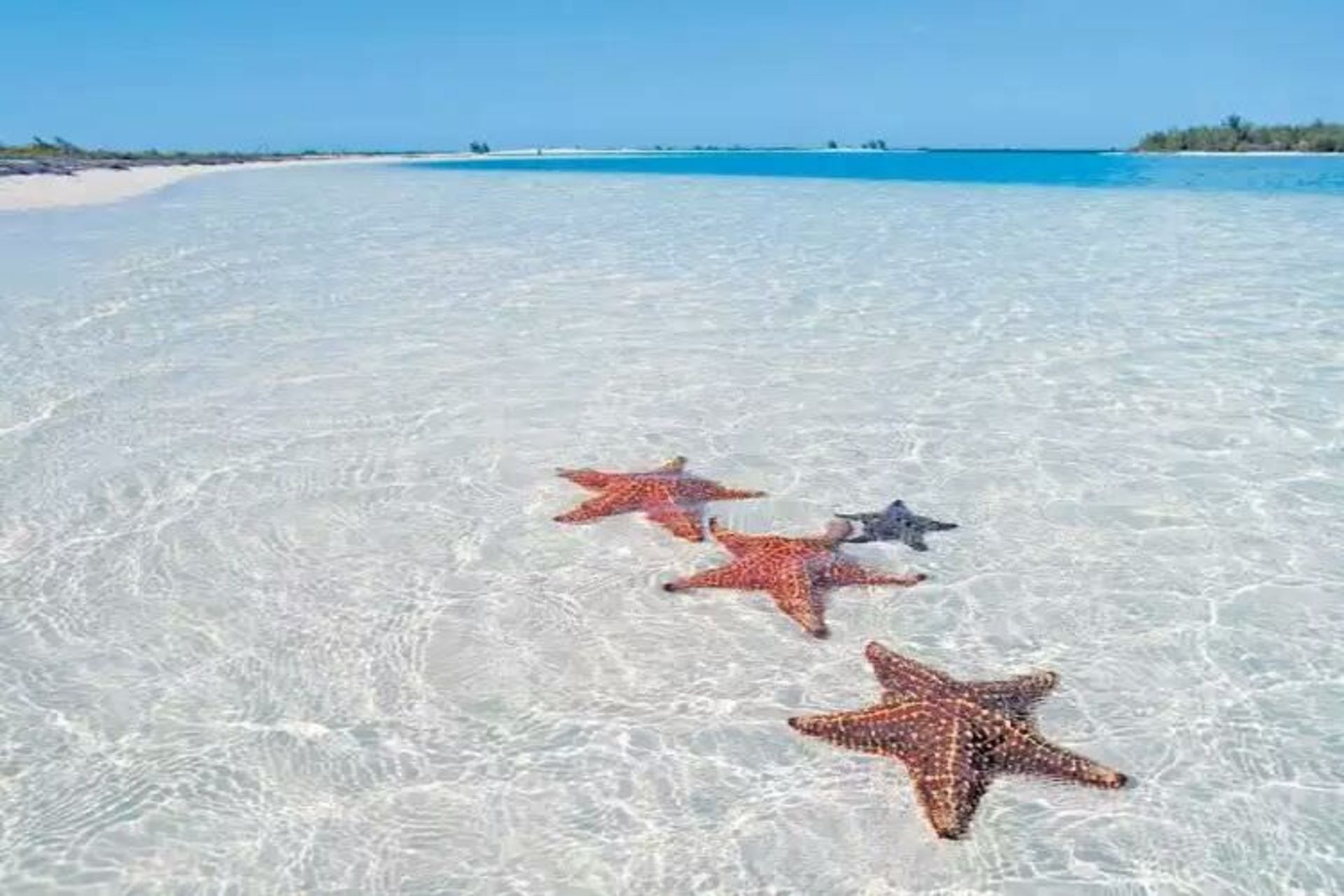 2015-07-wpid-beaches_cuba4