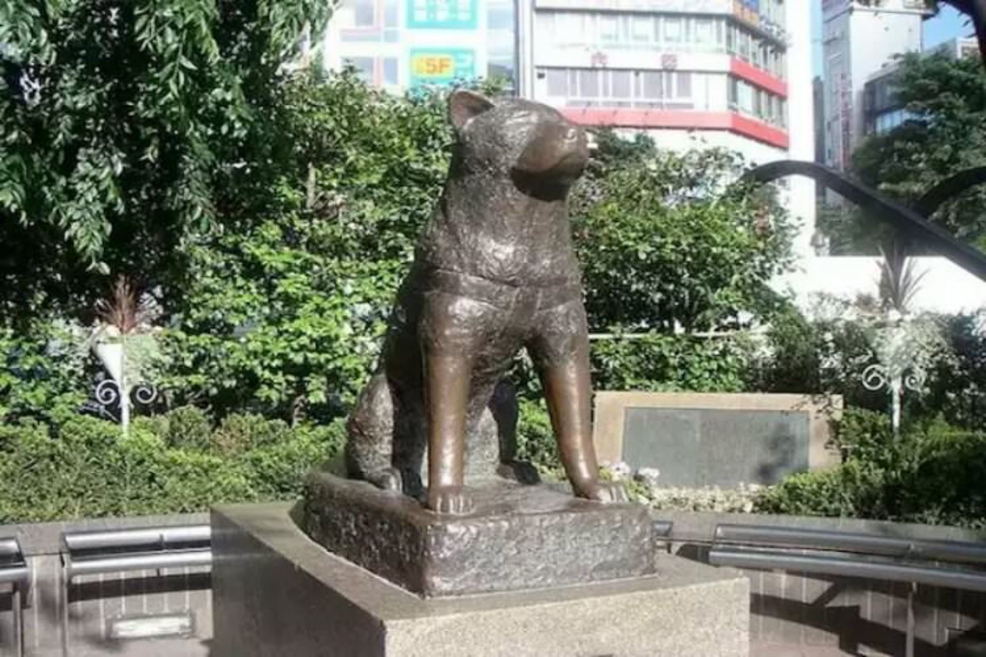 2015-07-wpid-hachiko-statue-japan-14661184-720-540_resize_20150729_220116