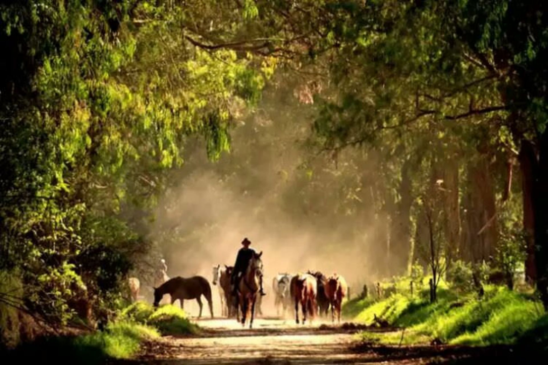 2015-07-wpid-hacienda_zuleta