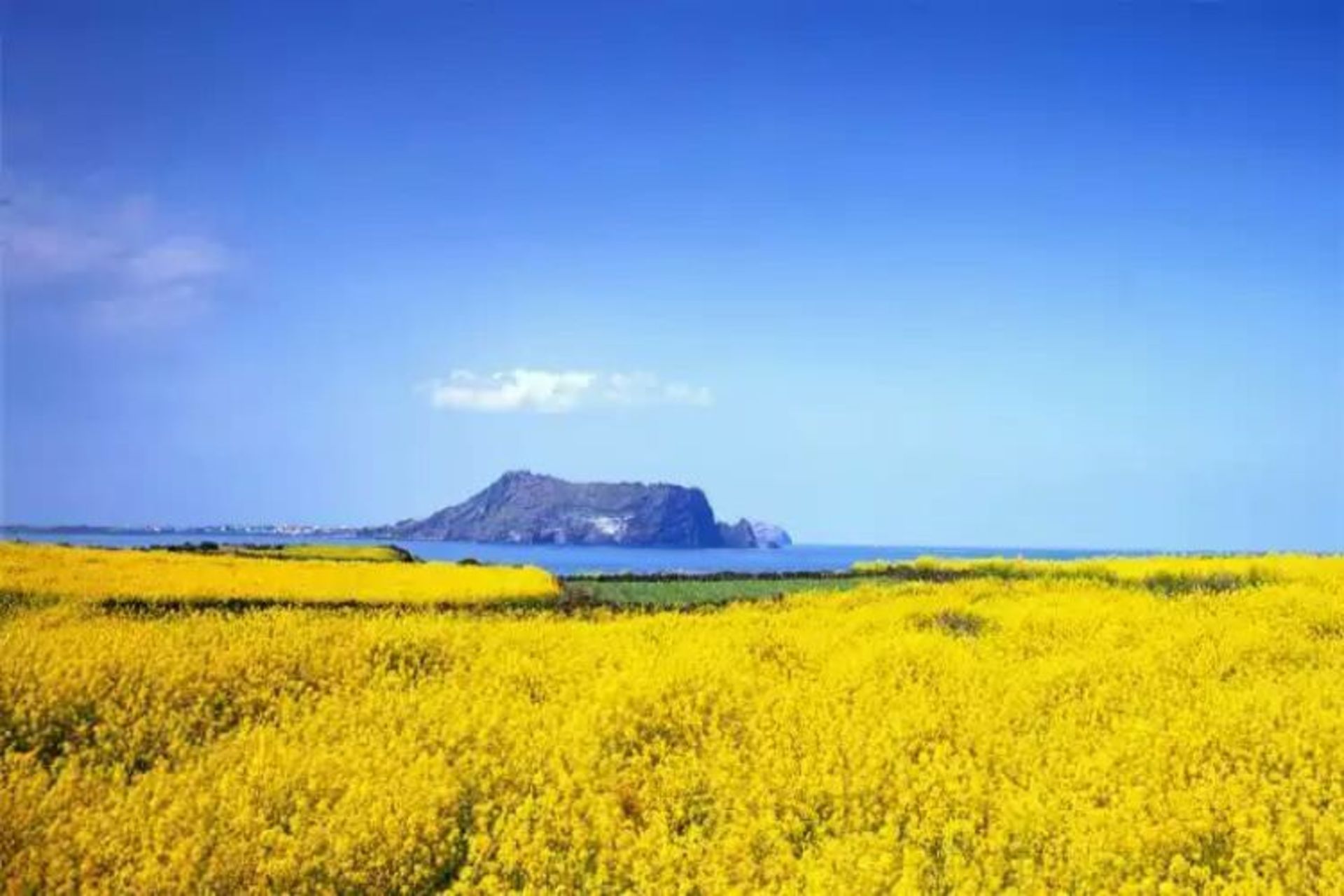 2015-07-wpid-jeju4_island