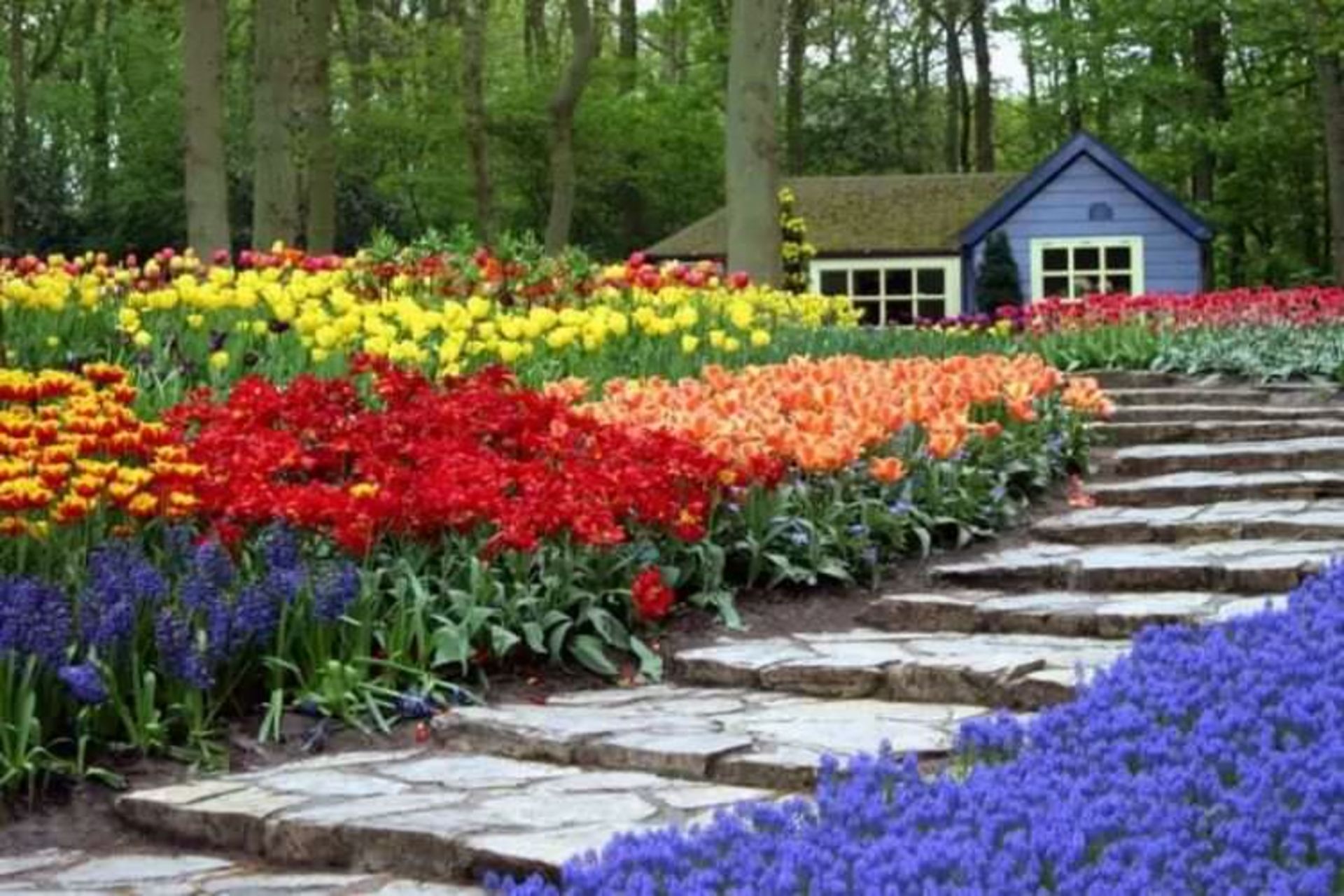 2015-07-wpid-keukenhof2
