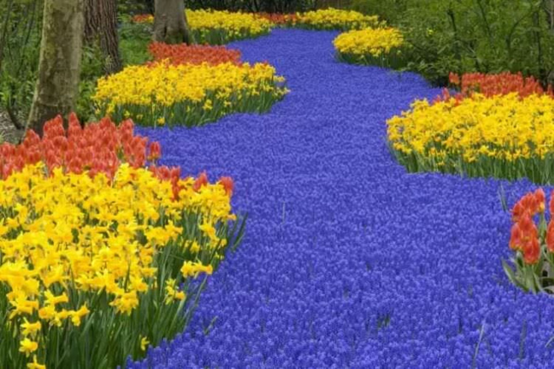 2015-07-wpid-keukenhof3