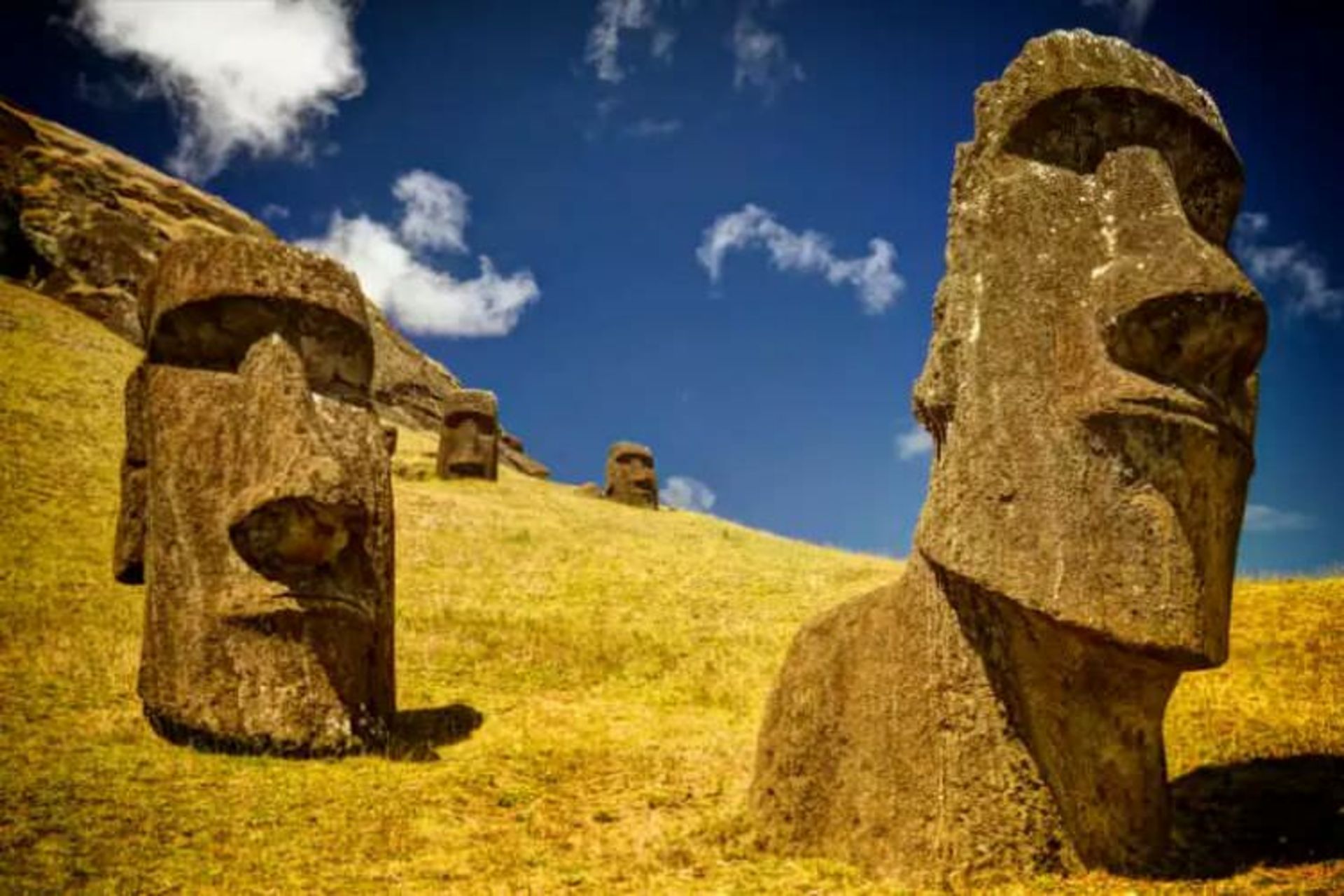 2015-07-wpid-moai4