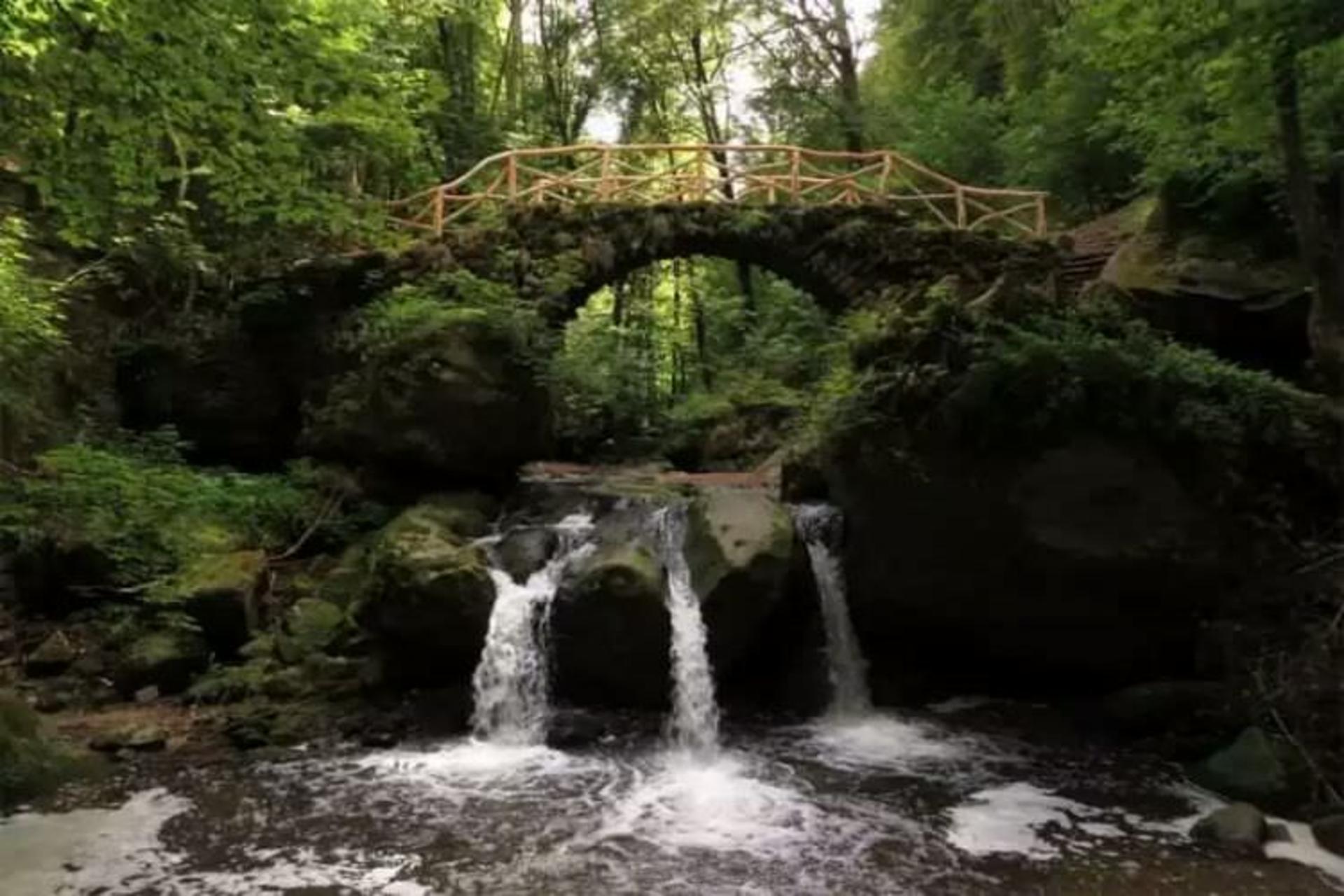 2015-07-wpid-mullerthal