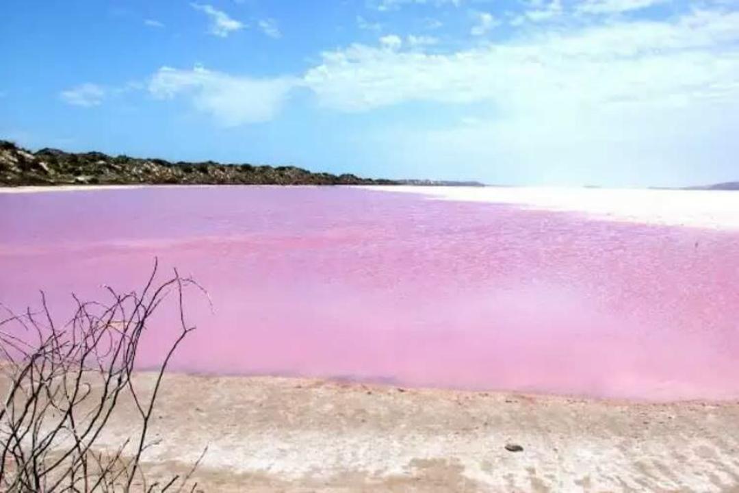 2015-07-wpid-pink_lake_australia
