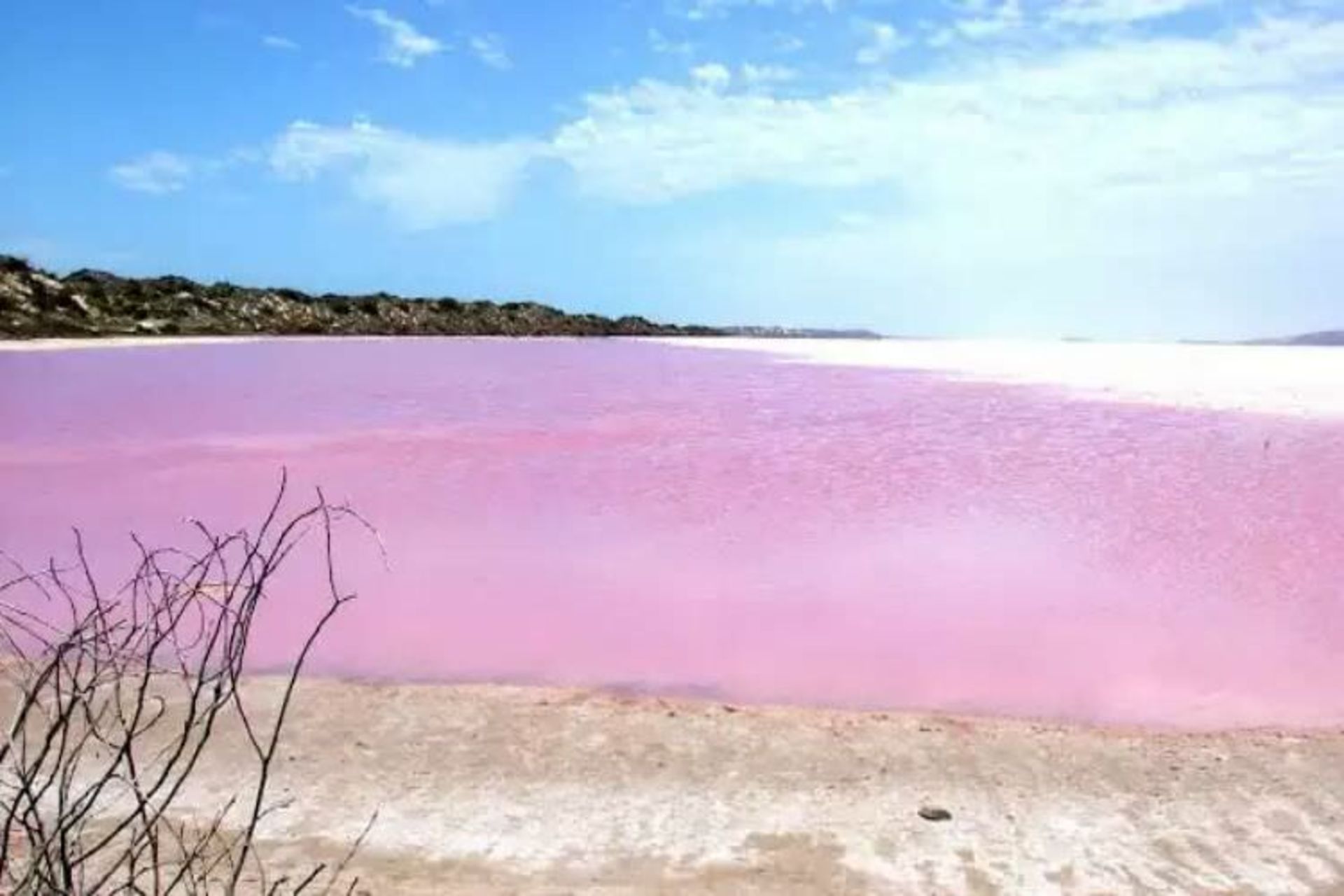2015-07-wpid-pink_lake_australia