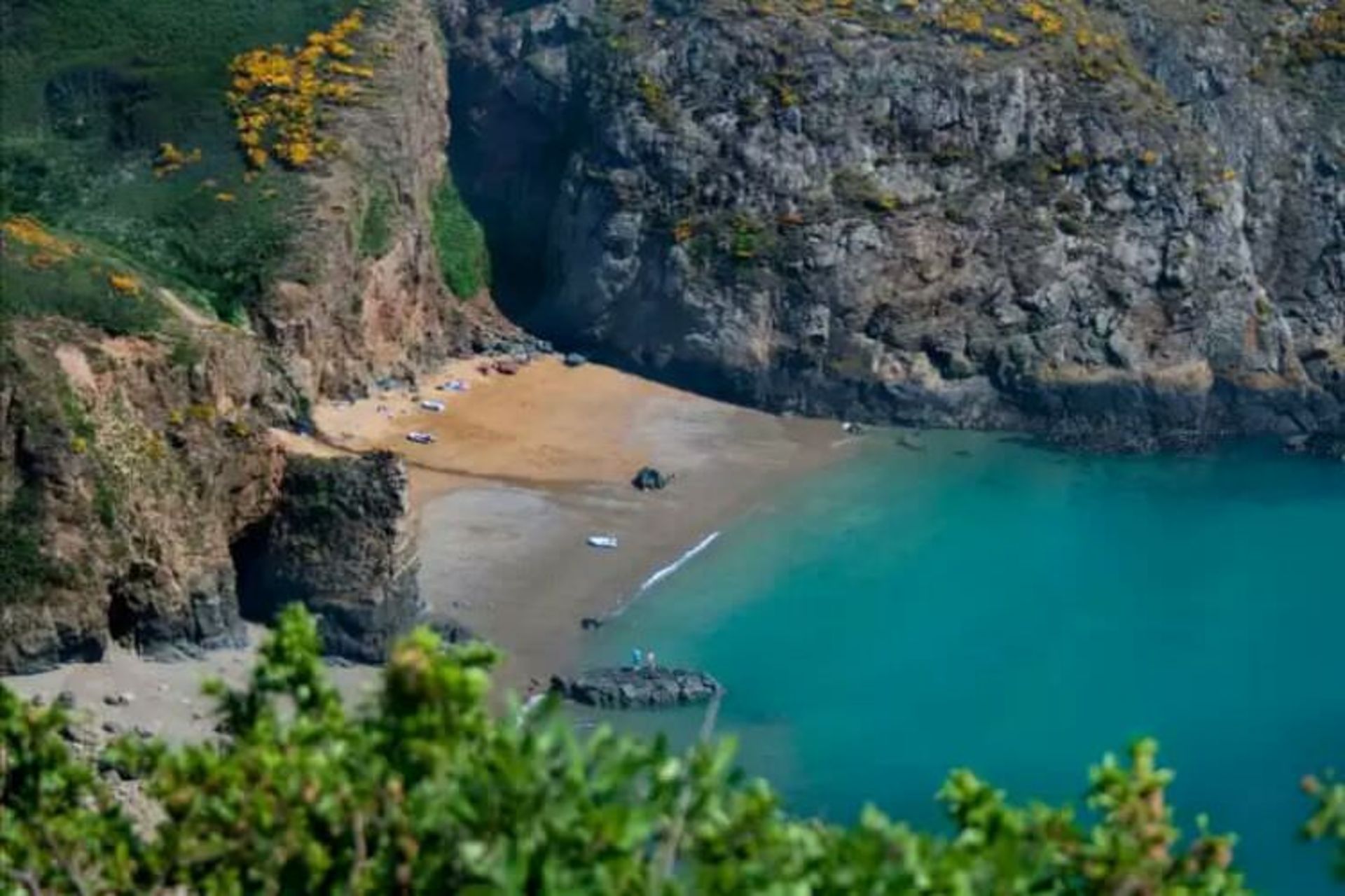 2015-07-wpid-sark2