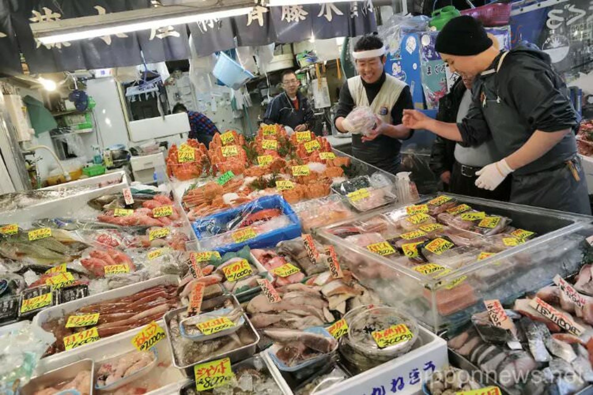 2015-07-wpid-tsukiji-fish-market-feature-5_resize_20150729_220001