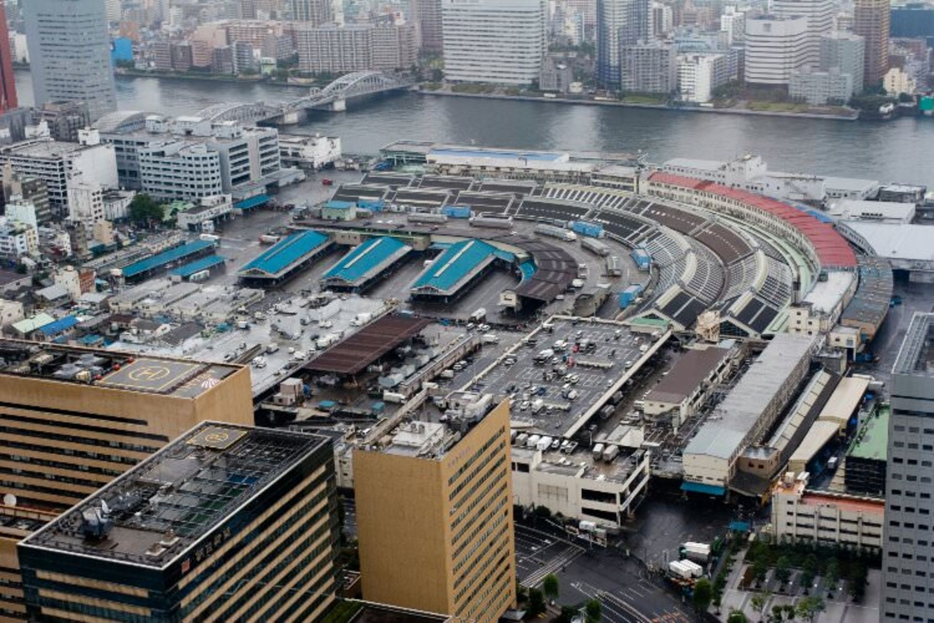 2015-07-wpid-tsukiji_fish_market_1_resize_20150729_220002