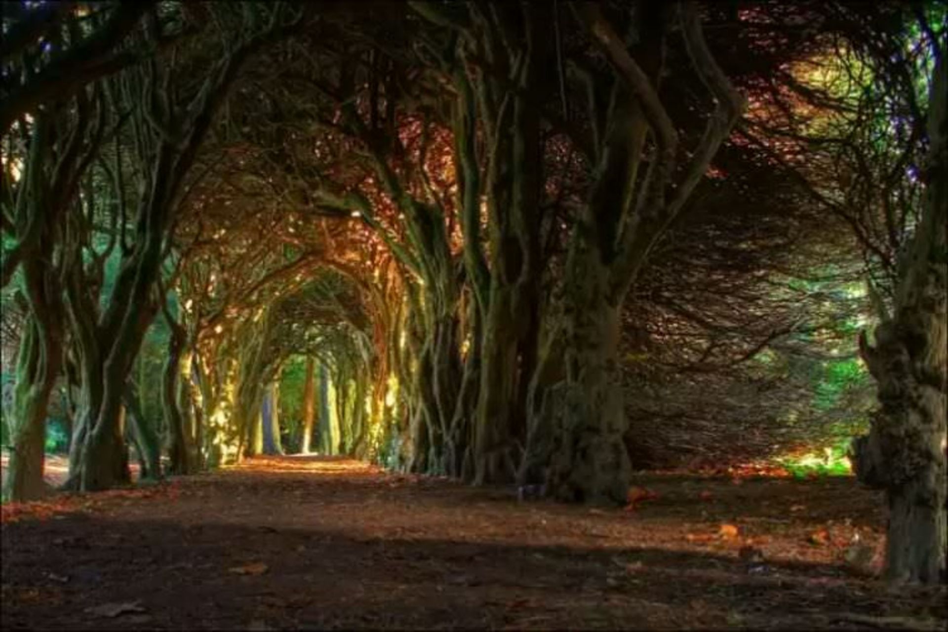 2015-07-wpid-tunnel_meath_ireland