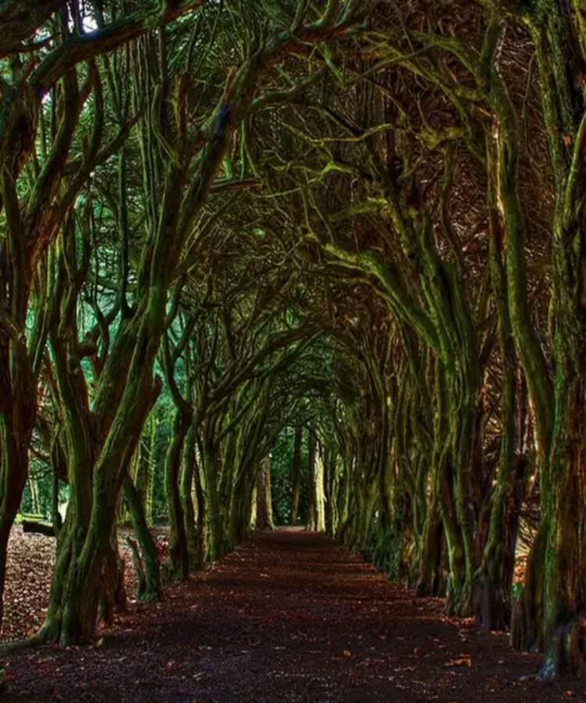 2015-07-wpid-tunnel_meath_ireland2