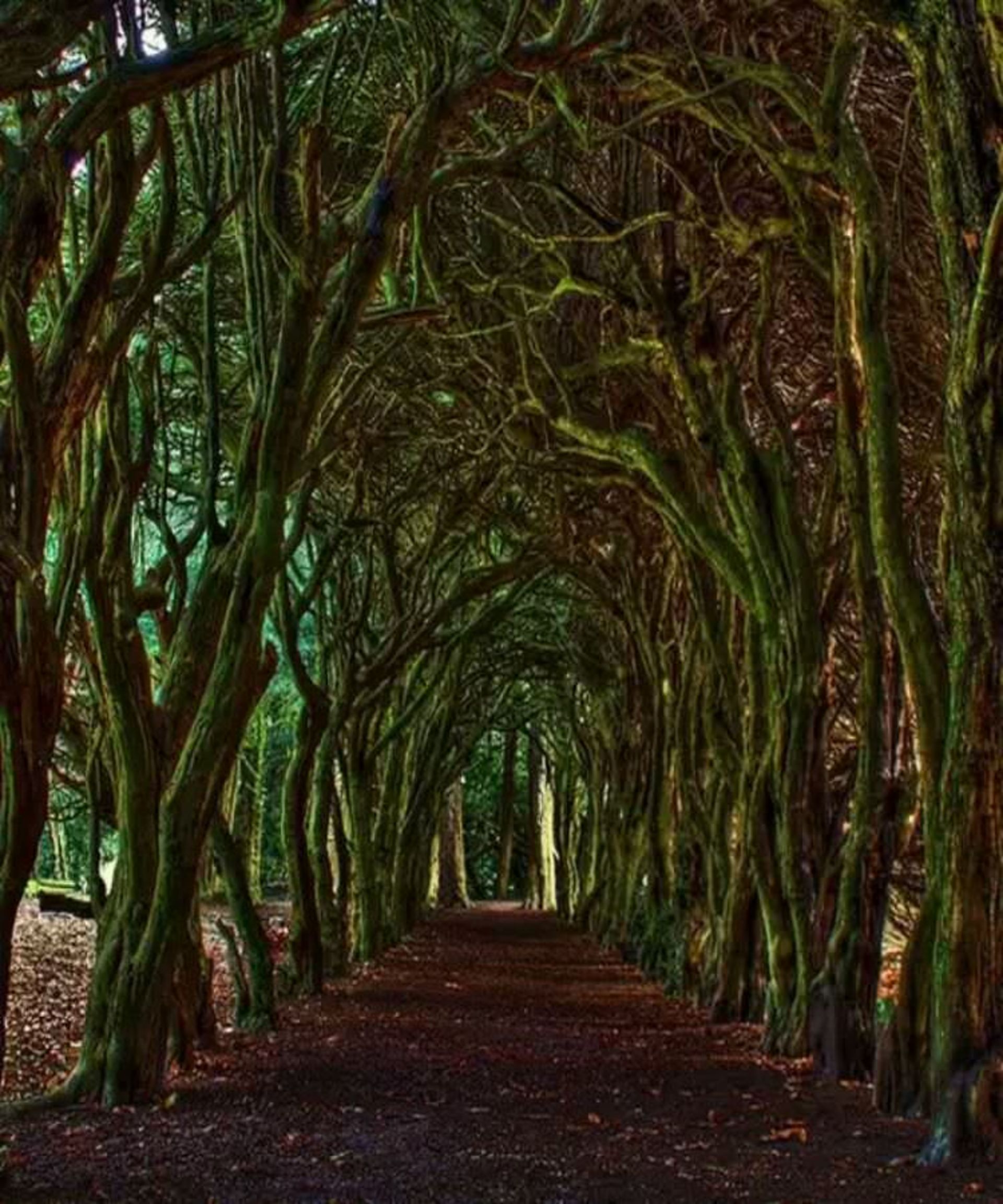 2015-07-wpid-tunnel_meath_ireland2