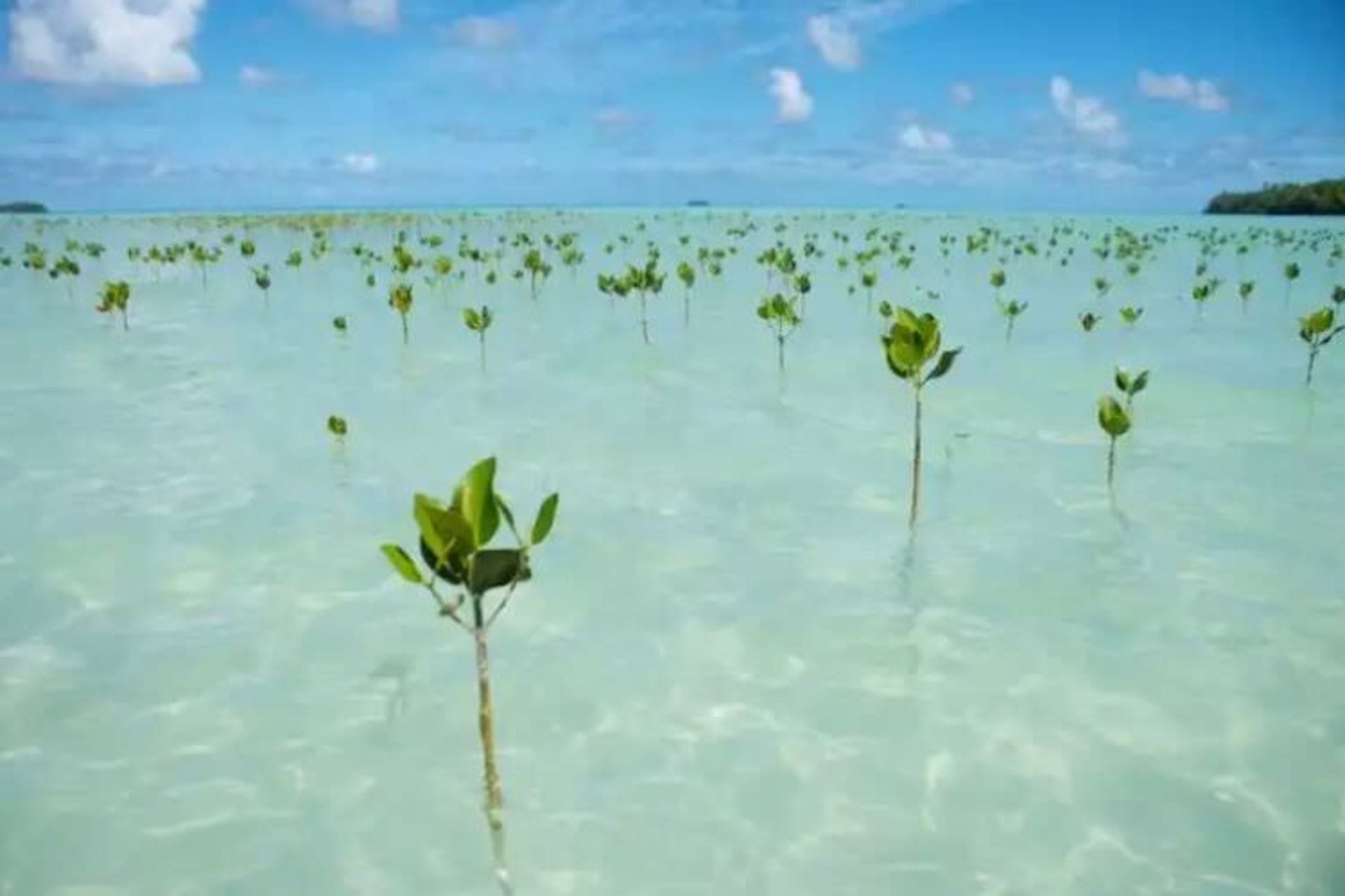 2015-07-wpid-tuvalu3
