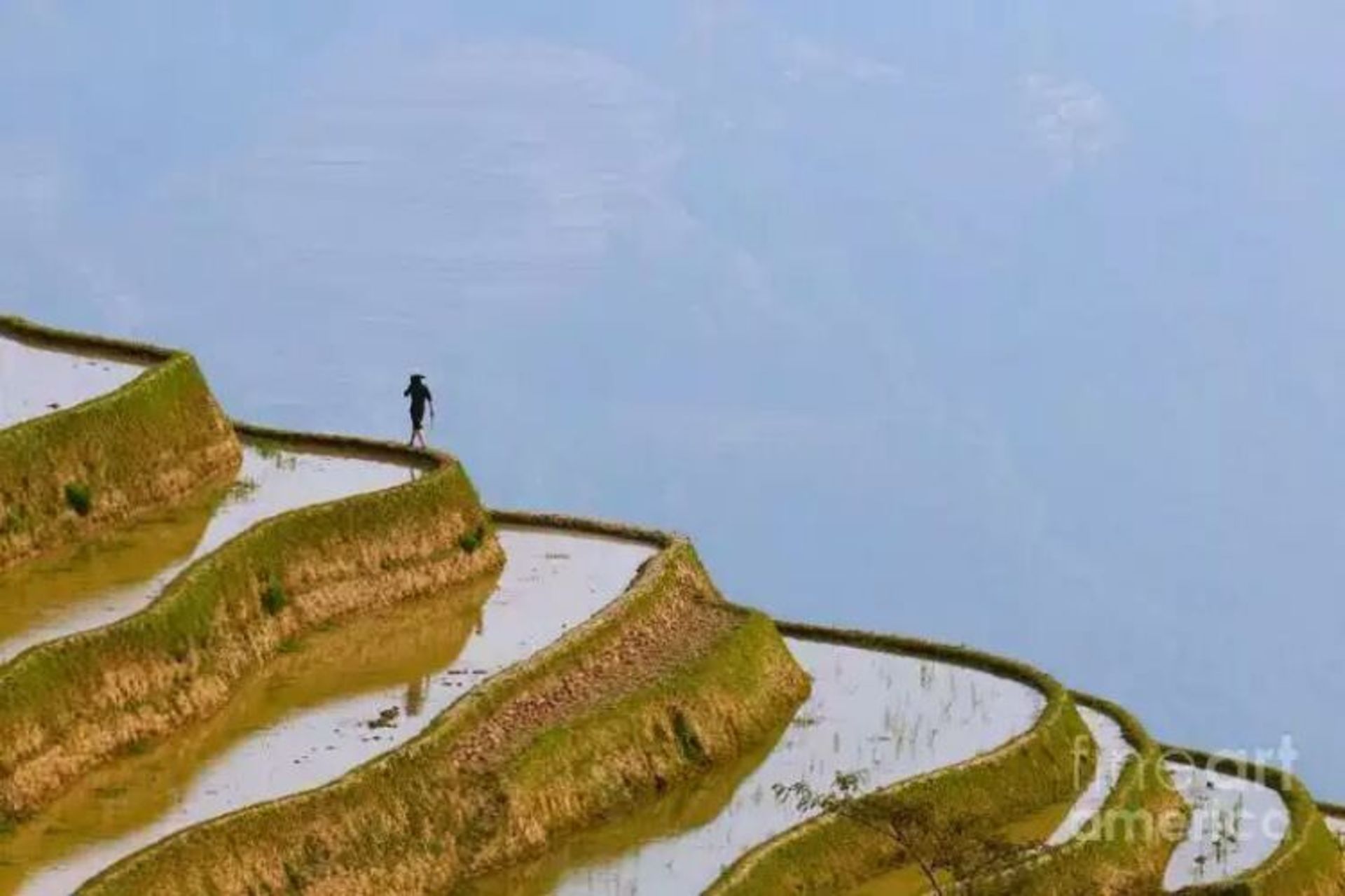 2015-07-wpid-yuanyang2