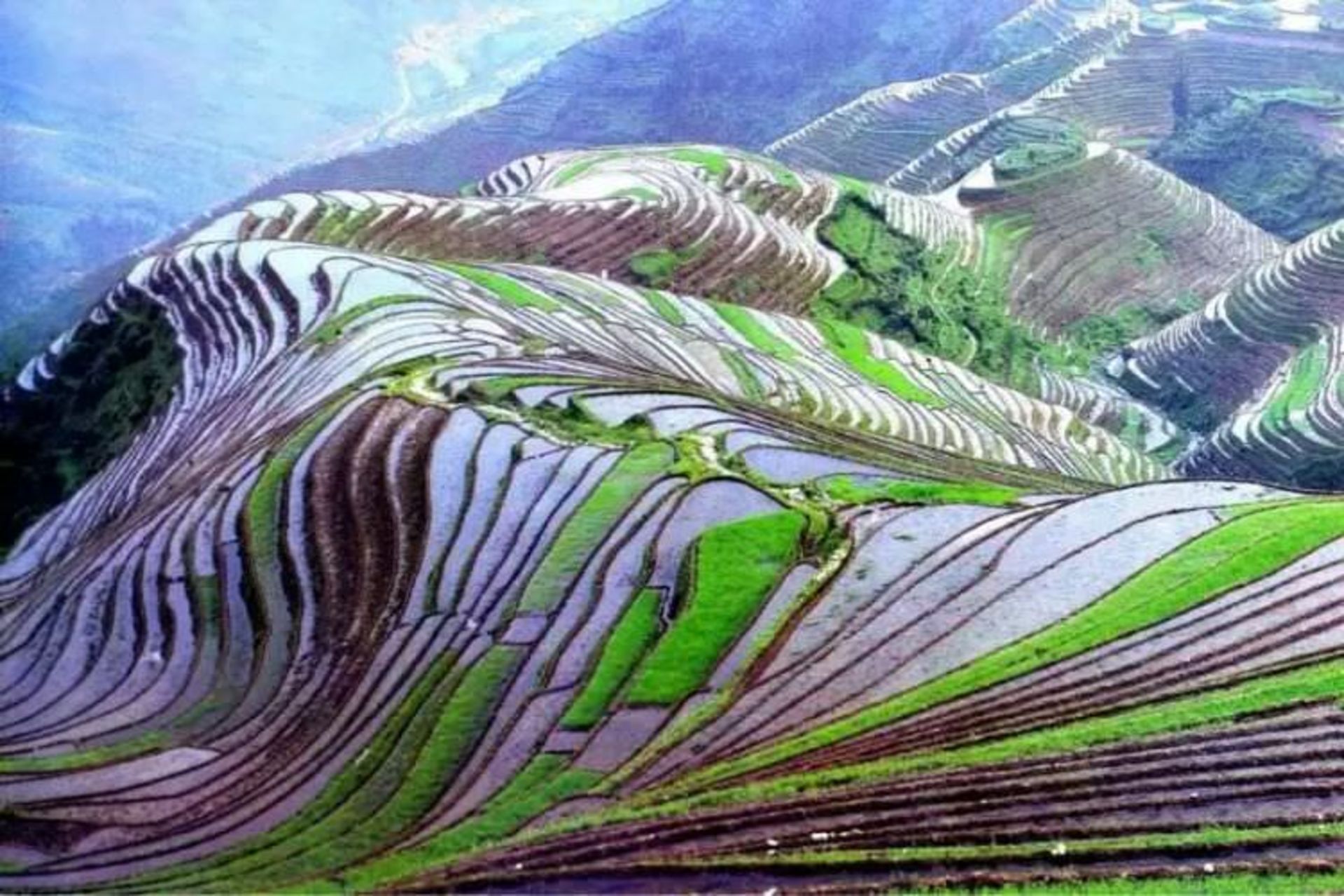 2015-07-wpid-yuanyang3