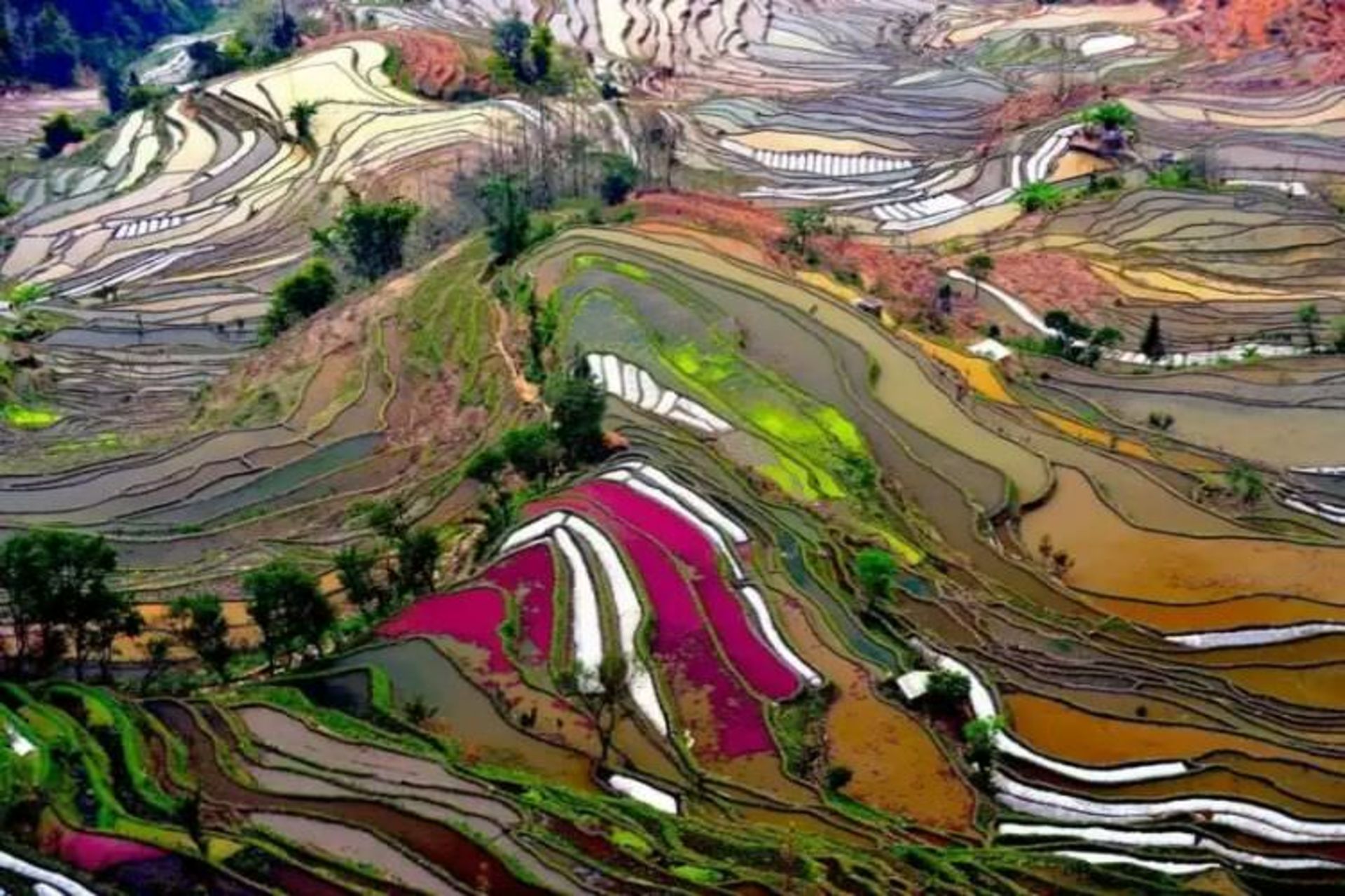 2015-07-wpid-yuanyang4