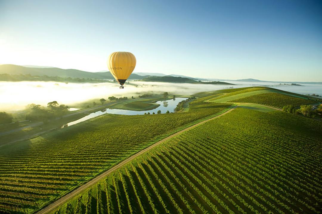 2015-07-yarra-valley