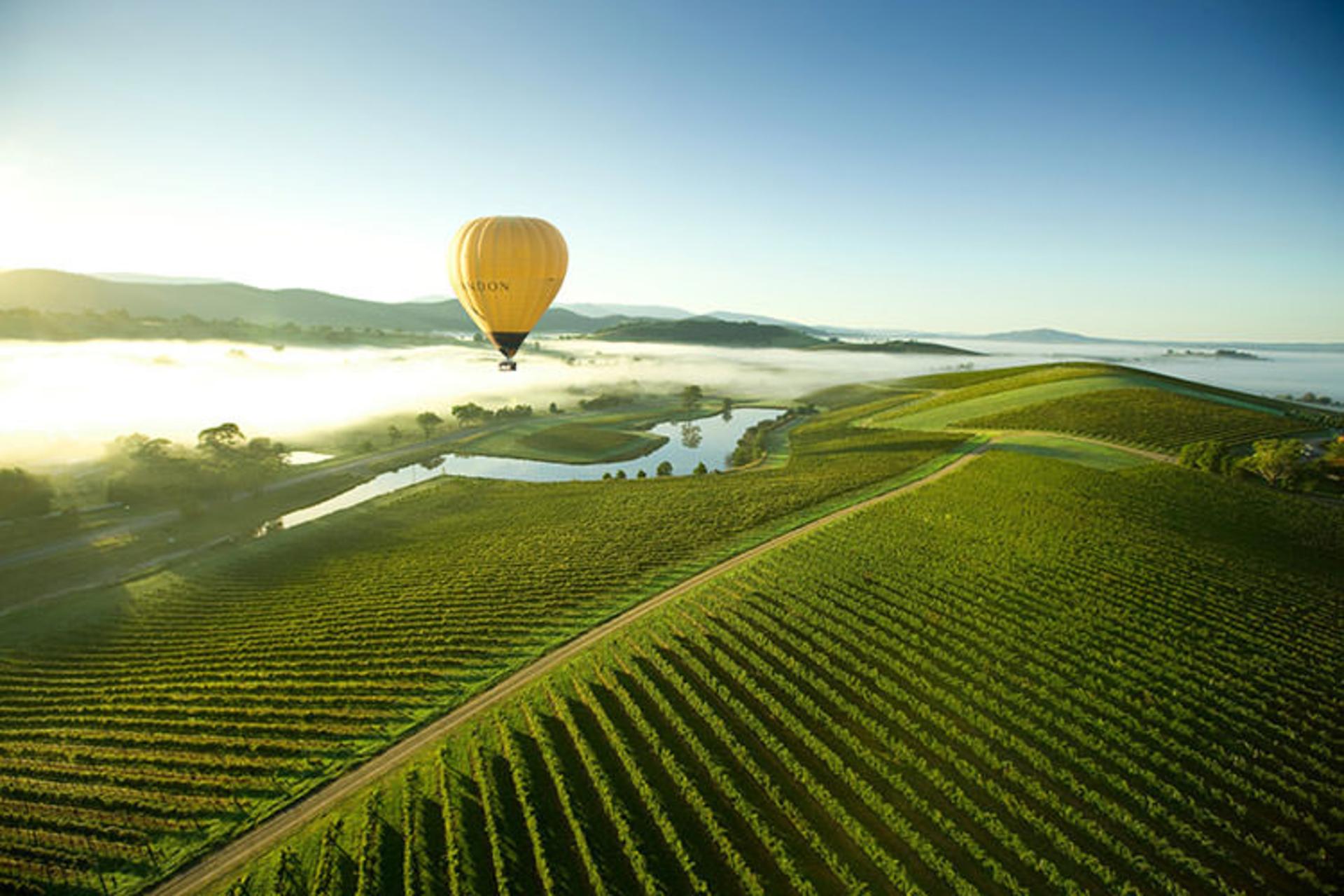 2015-07-yarra-valley