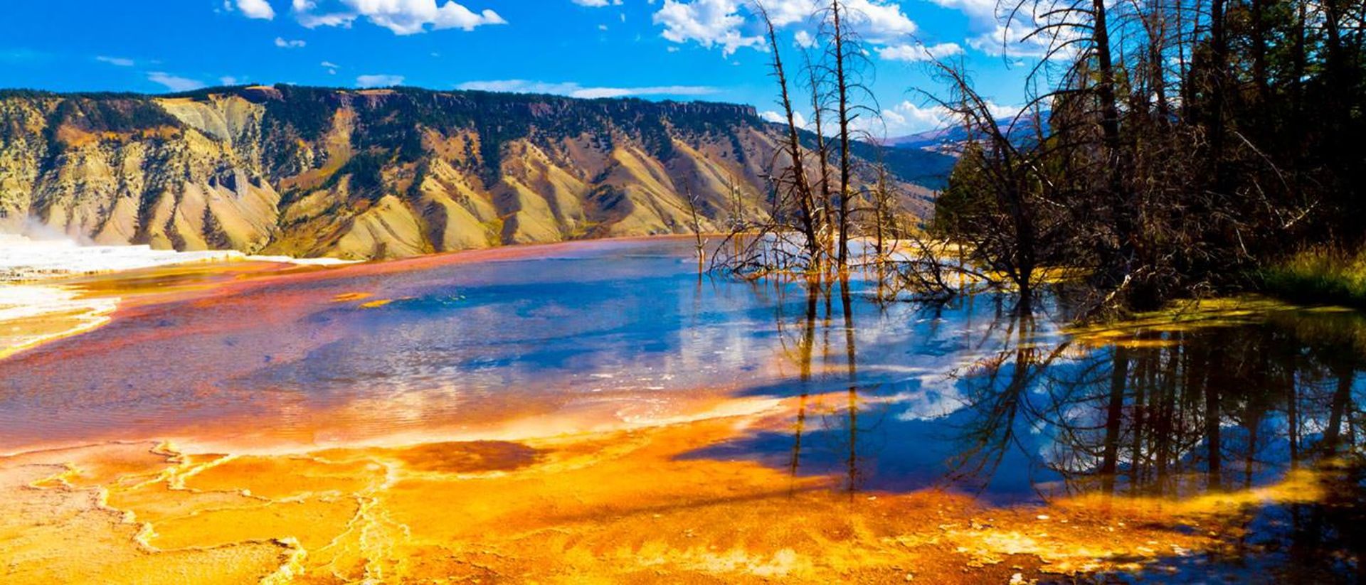 2015-07-yellowstone12