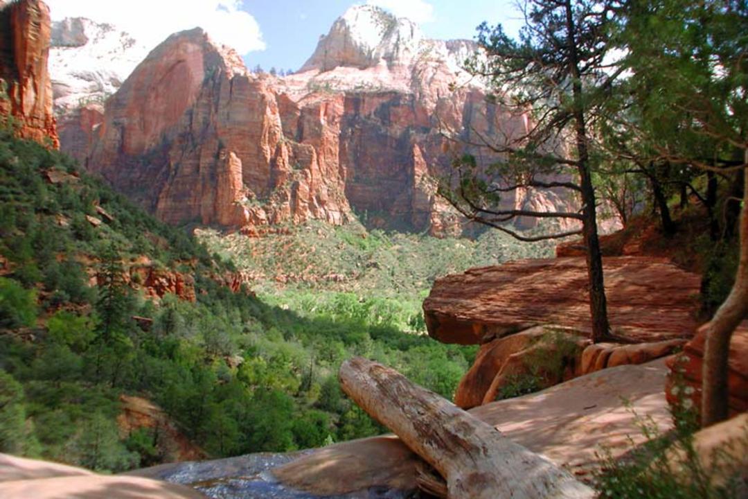 2015-07-zion-canyon2