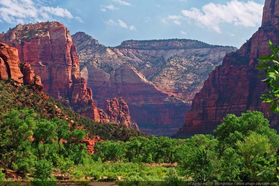 2015-07-zion-canyon3