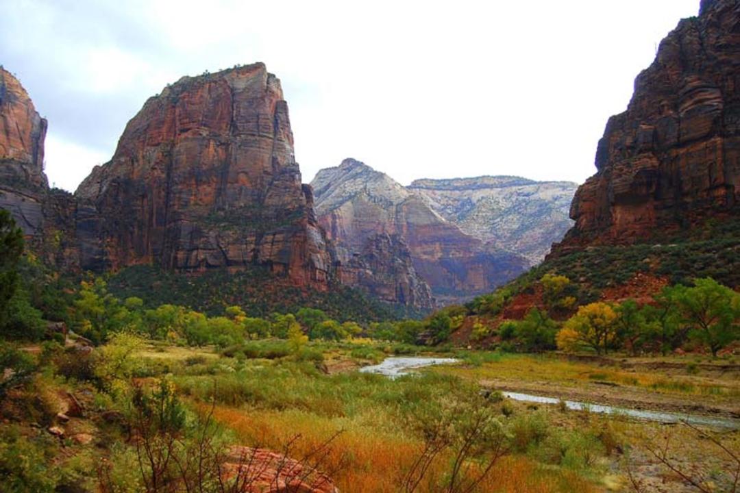 2015-07-zion-canyon4