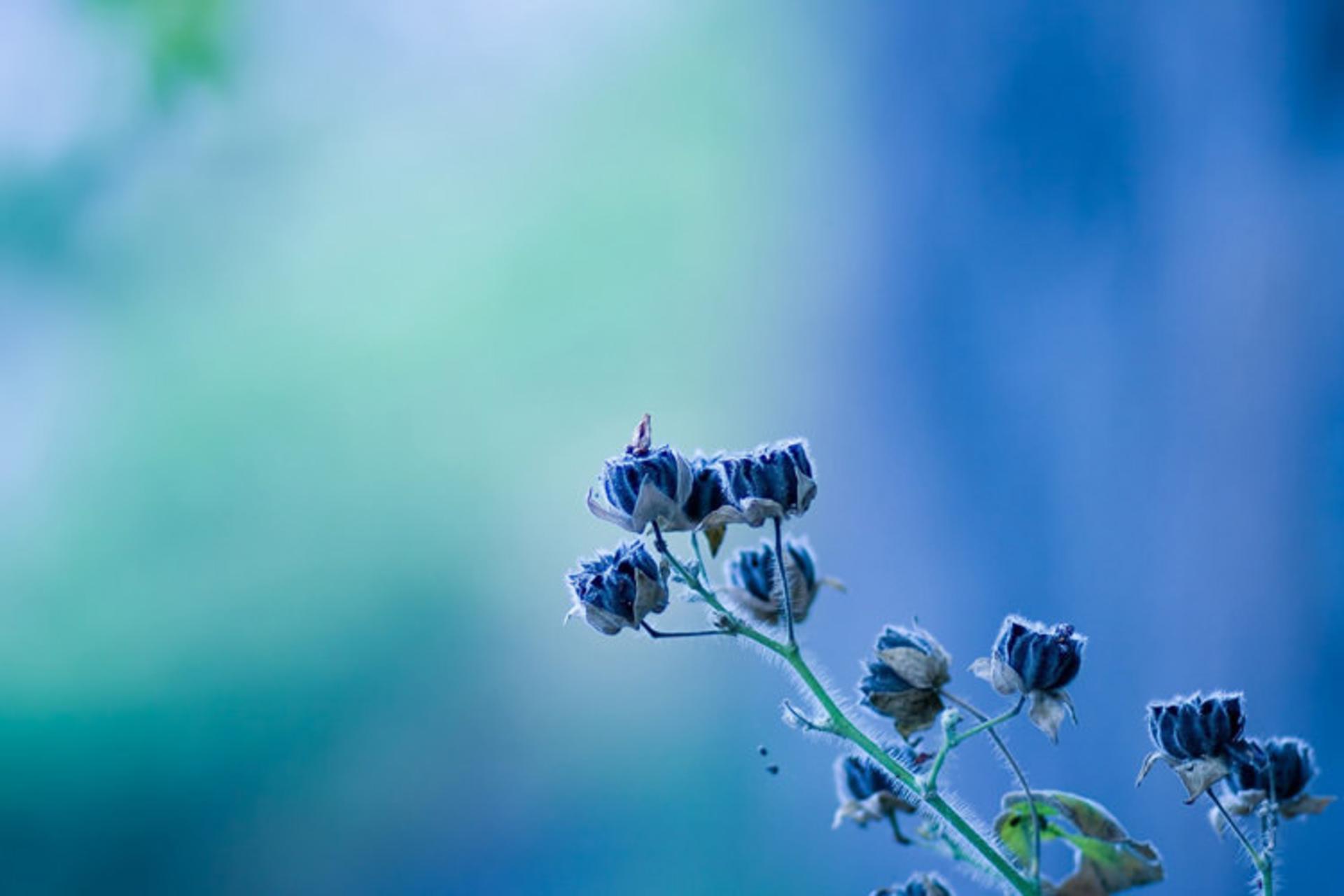 Photography Tips