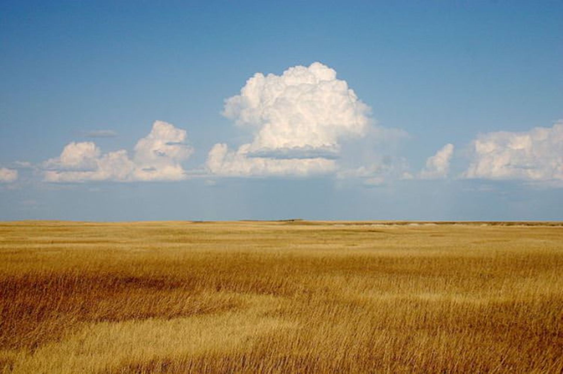 2015-08-640px-cumulus_clouds_over_yellow_prairie2