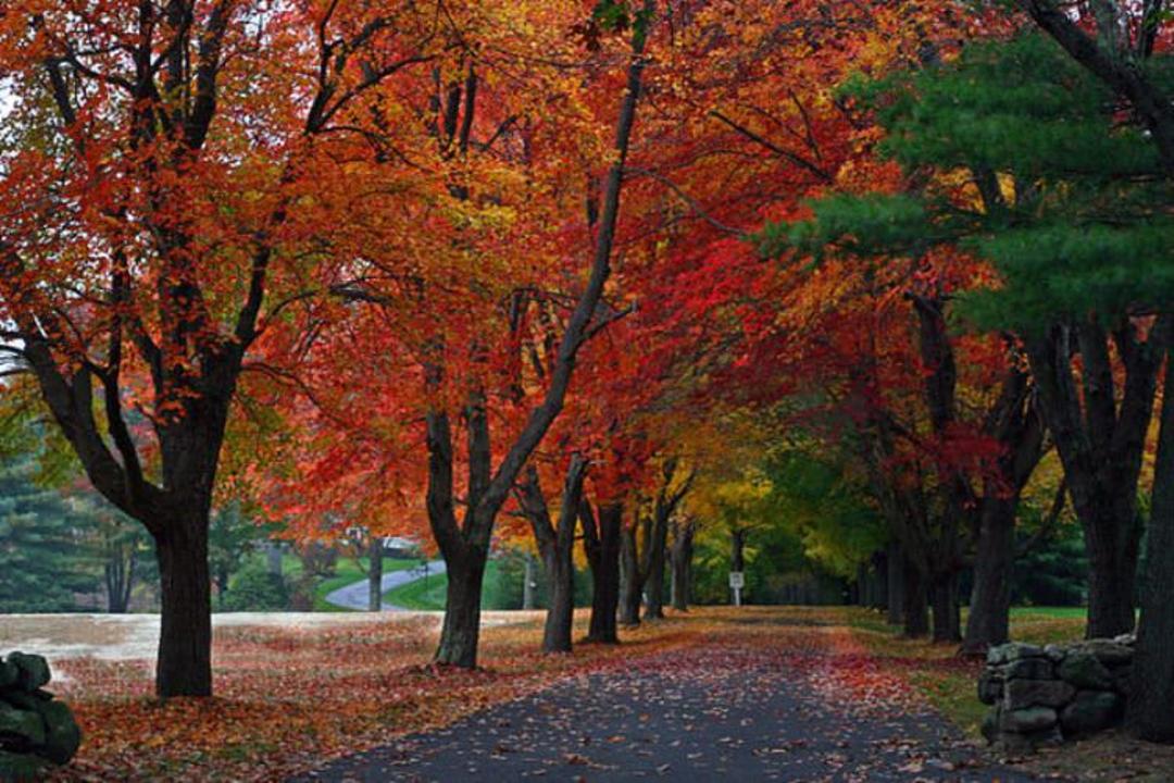 2015-08-640px-new_england_driveway
