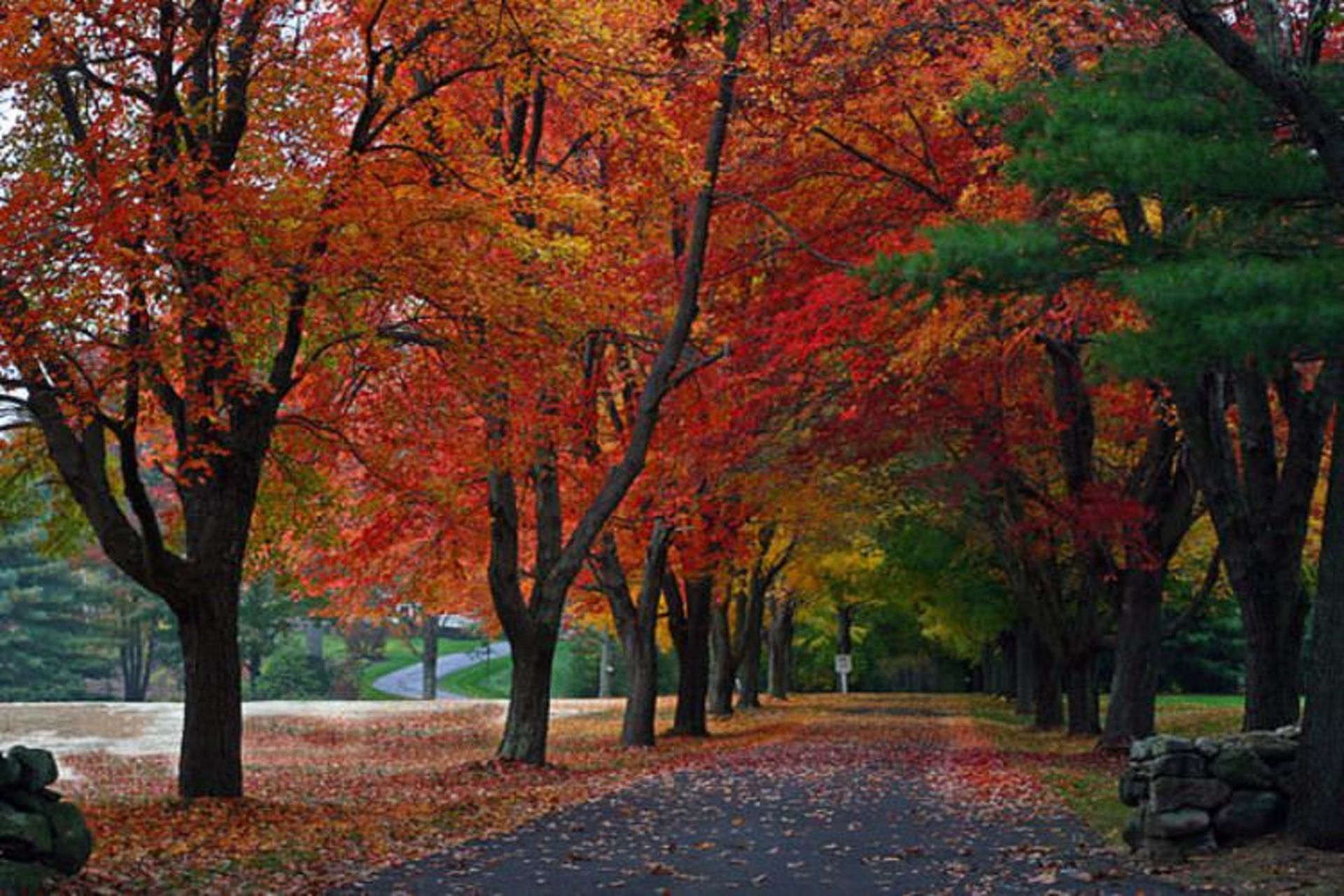2015-08-640px-new_england_driveway