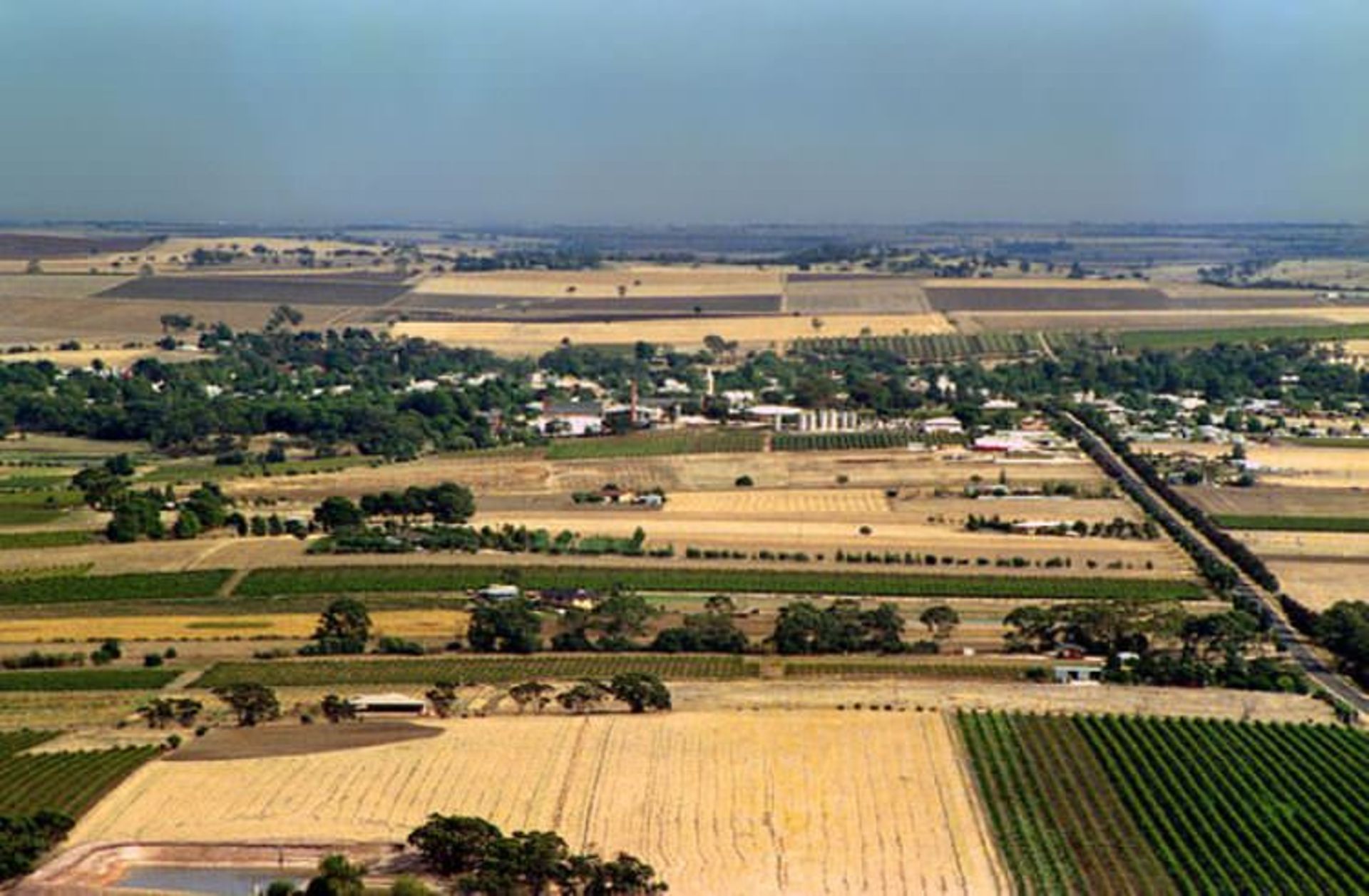 2015-08-640px-vineyards_in_barossa_valley_south_australia_1987